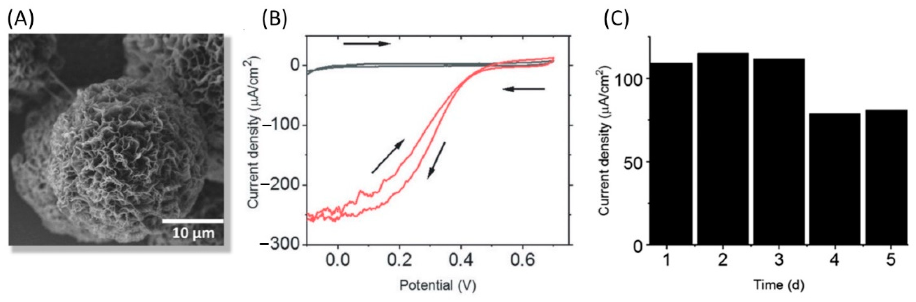 Catalysts 11 00497 g012 Catalysts 11 00497 g012