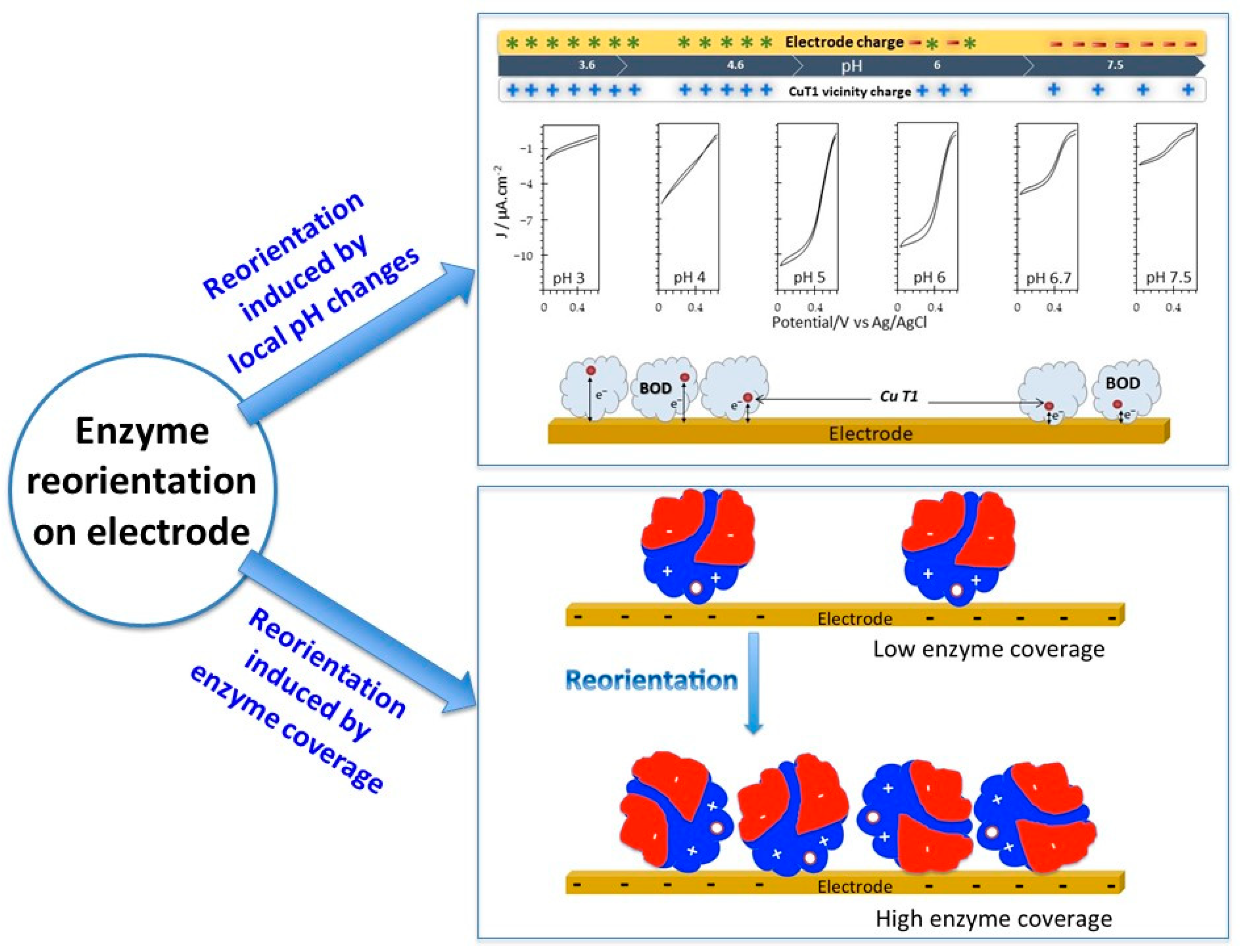 Catalysts 11 00497 g013 Catalysts 11 00497 g013