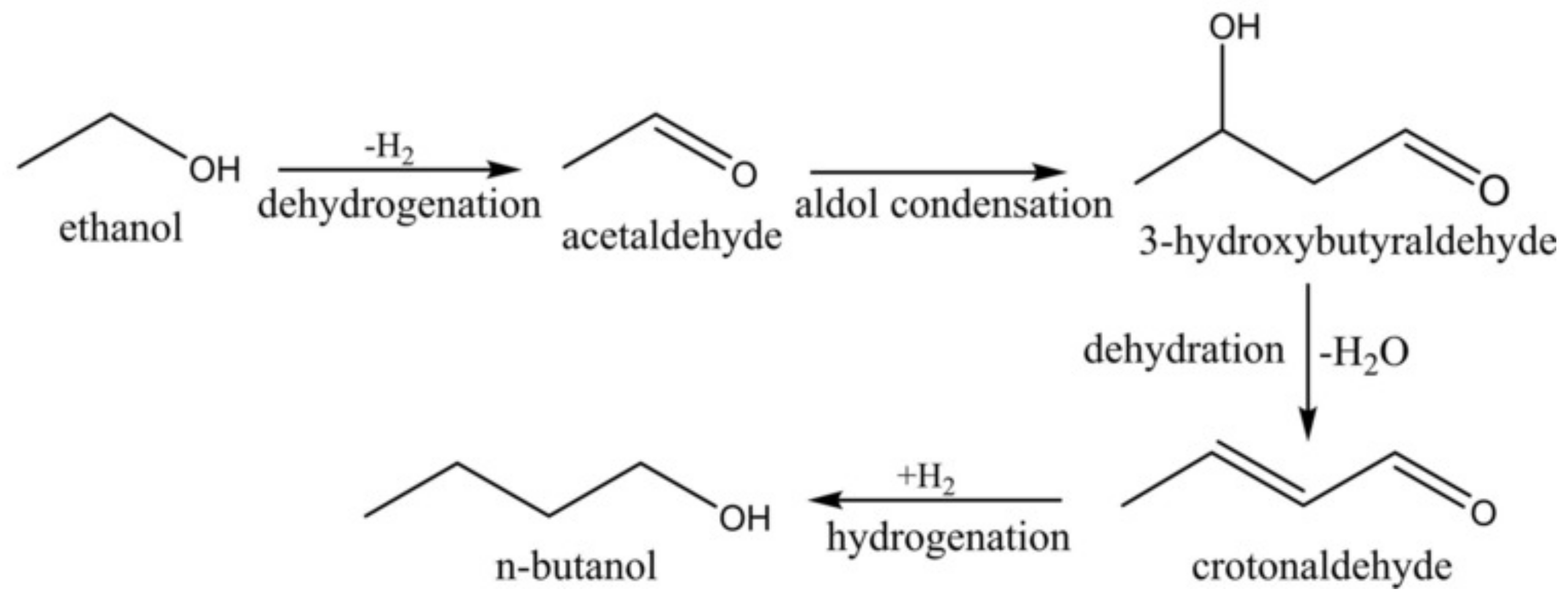 Catalysts 11 00498 sch001 Catalysts 11 00498 sch001