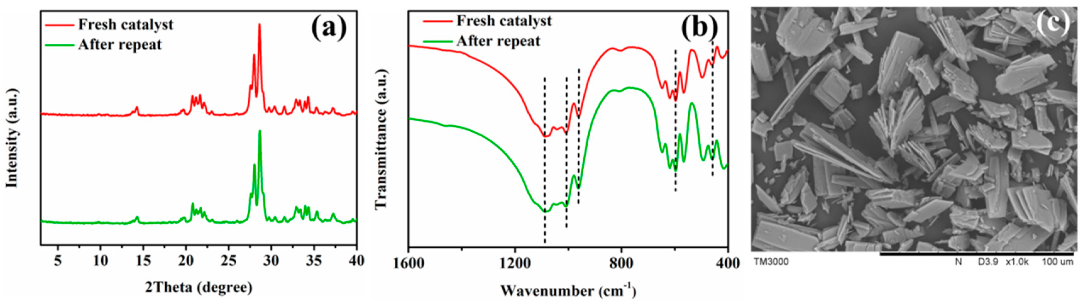 Catalysts 11 00499 g005 Catalysts 11 00499 g005