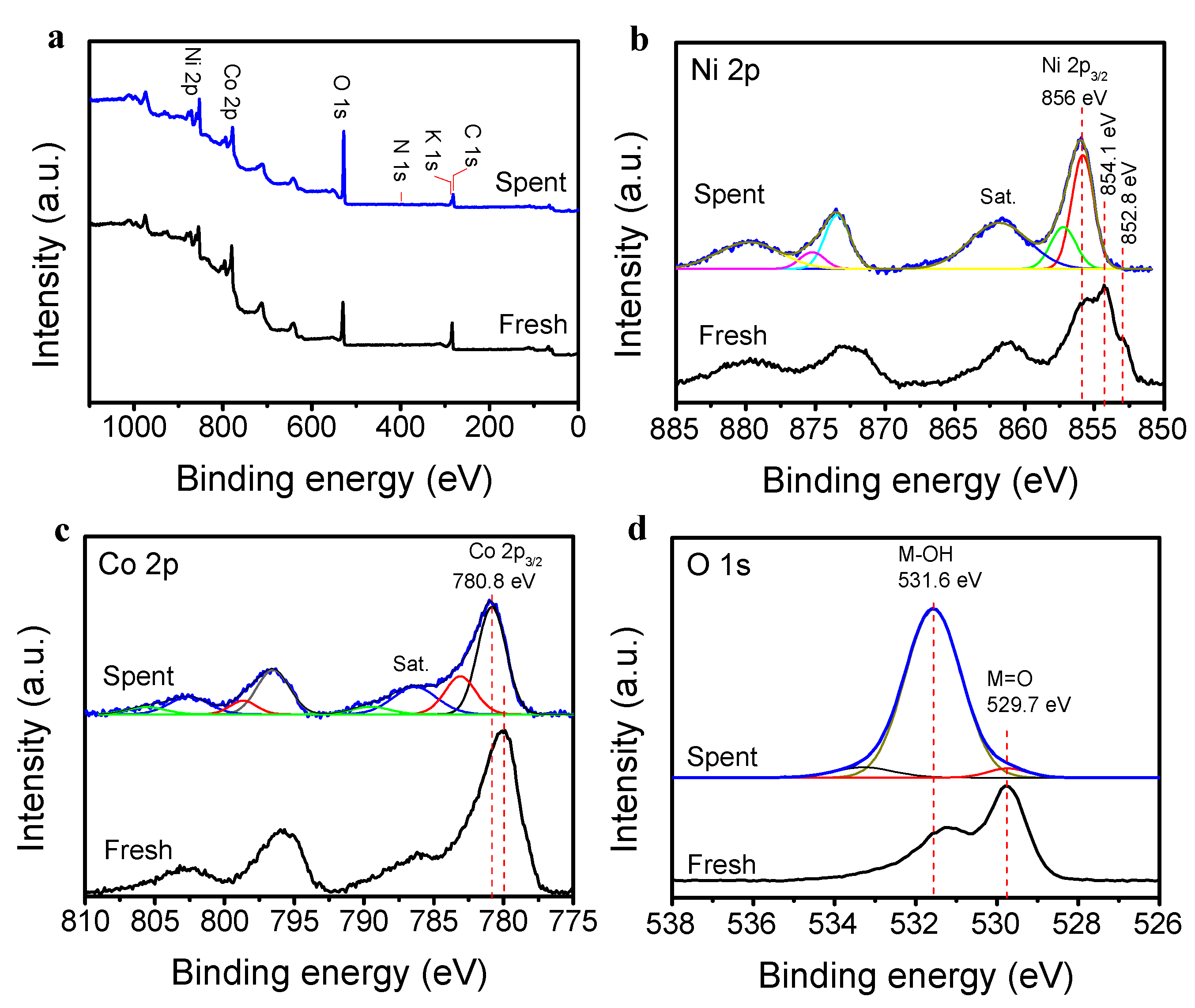 Catalysts 11 00500 g004