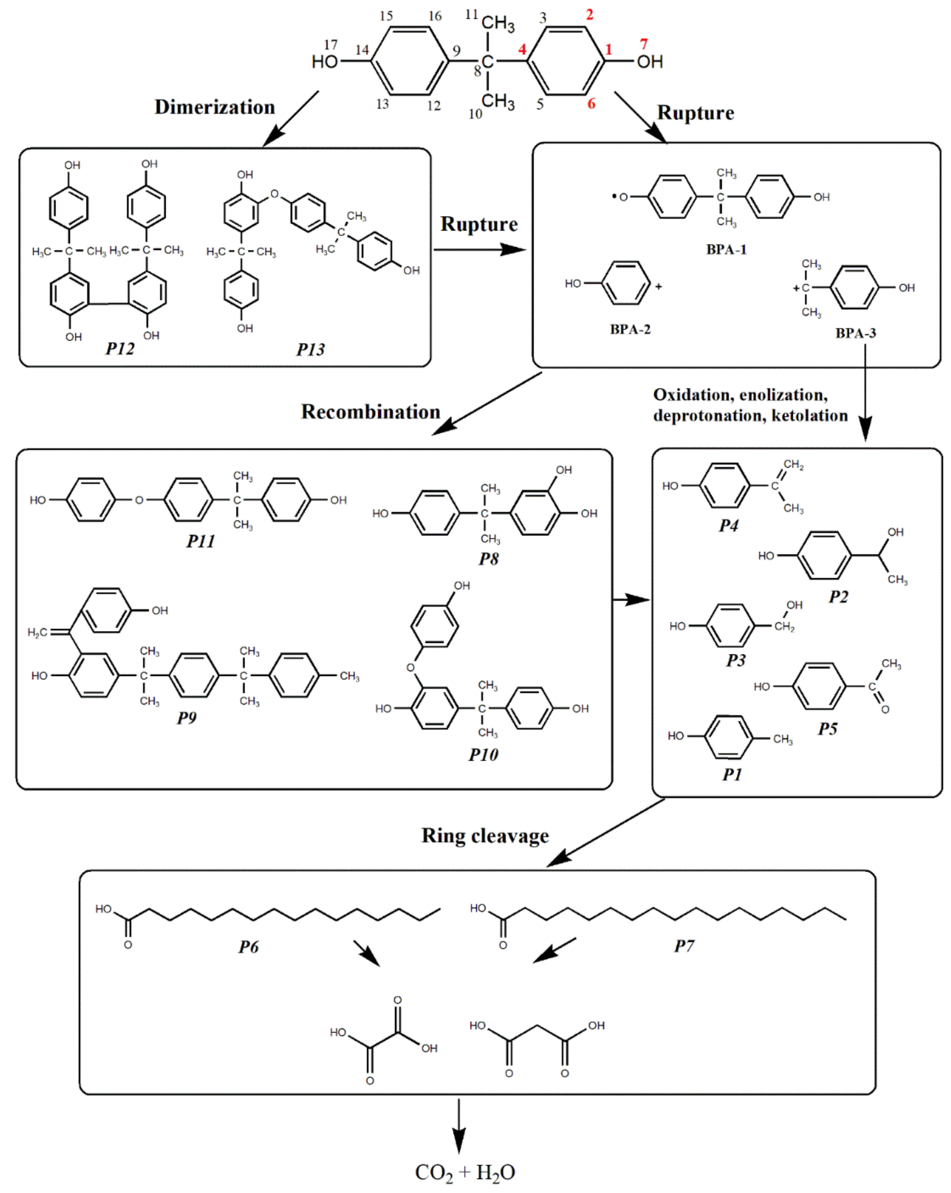 Catalysts 11 00502 g007 Catalysts 11 00502 g007
