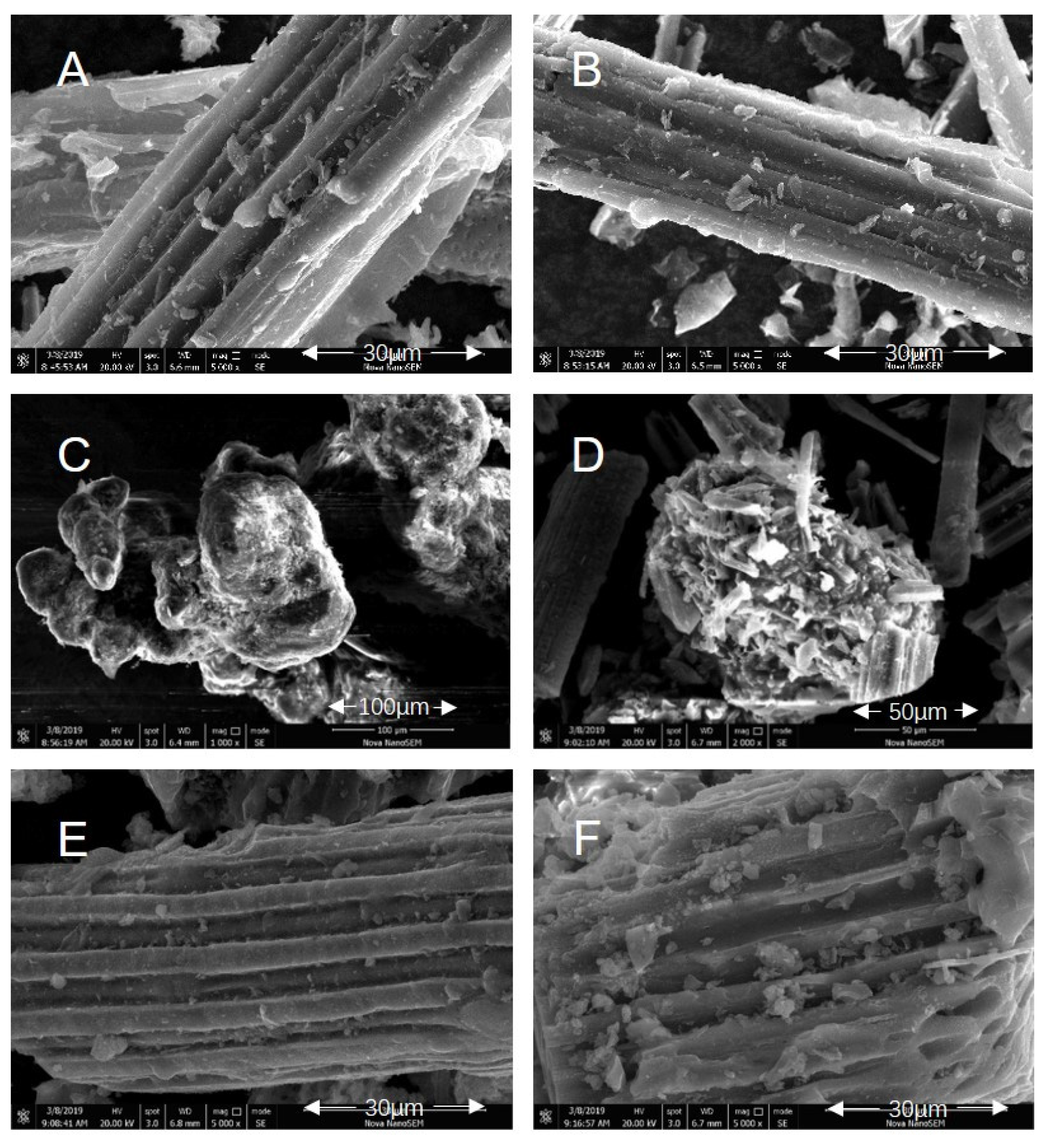 Catalysts 11 00508 g001 Catalysts 11 00508 g001