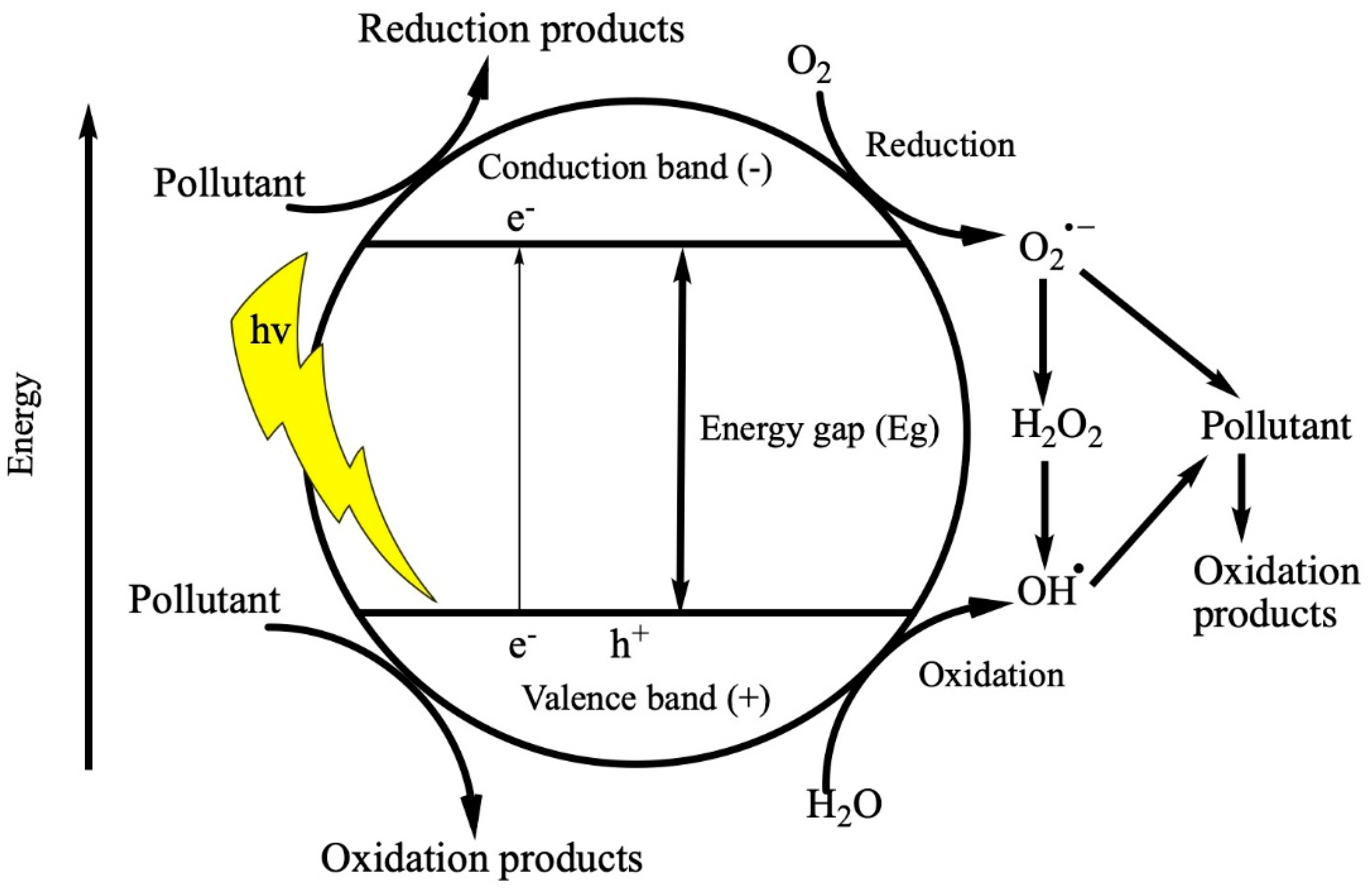 Catalysts 11 00511 g001 Catalysts 11 00511 g001