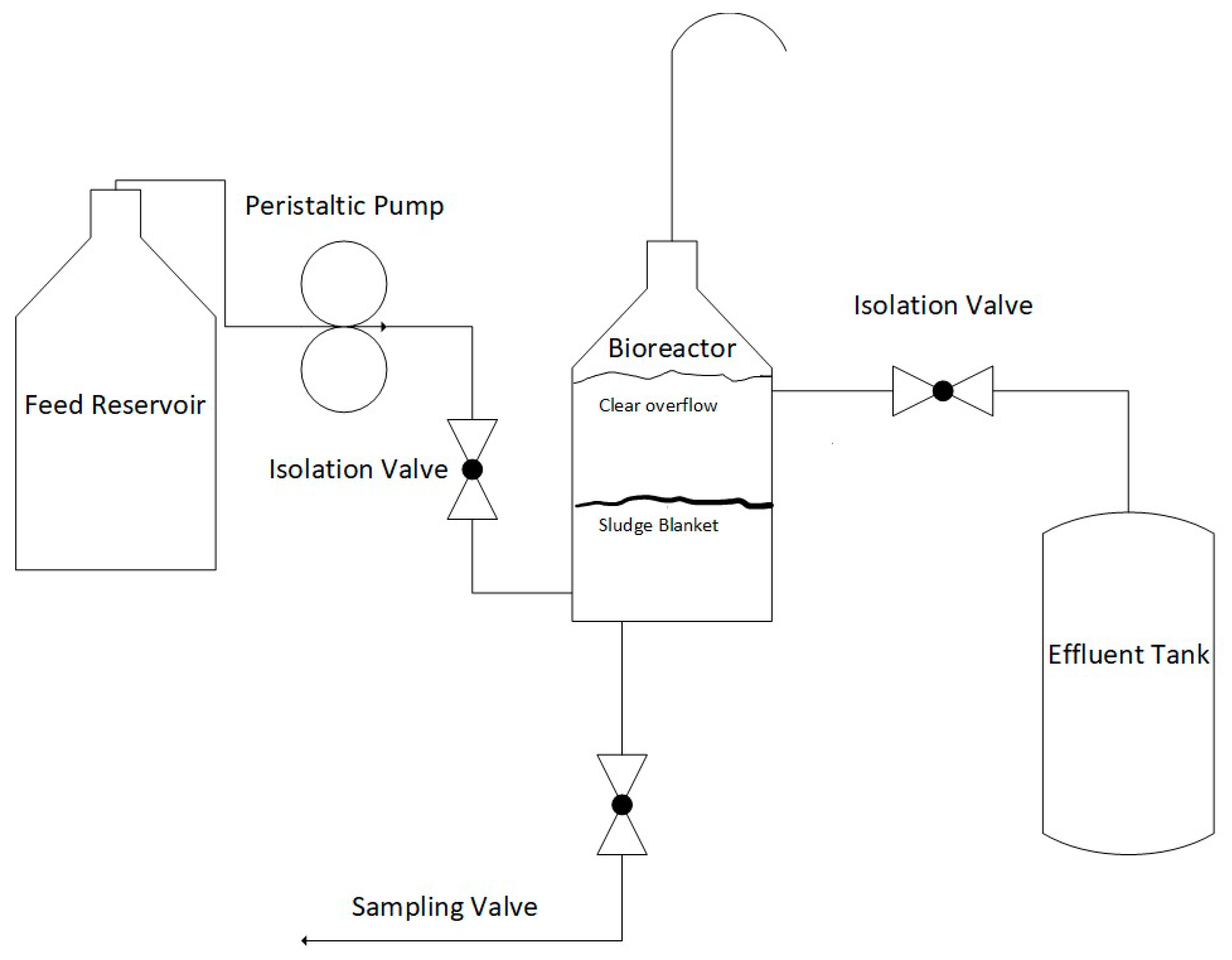 Catalysts 11 00512 g008