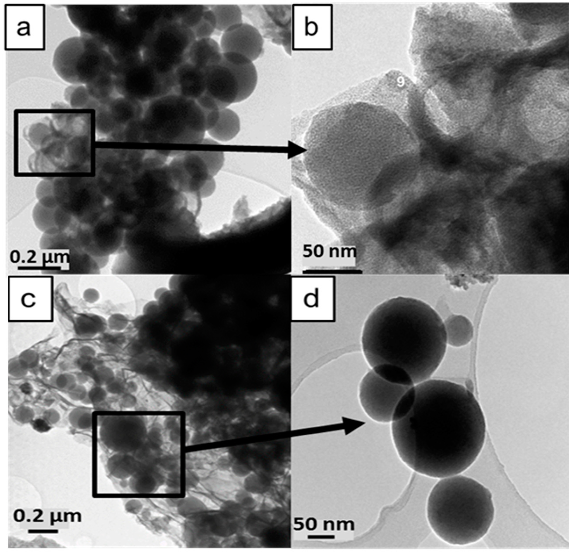 Catalysts 11 00516 g001