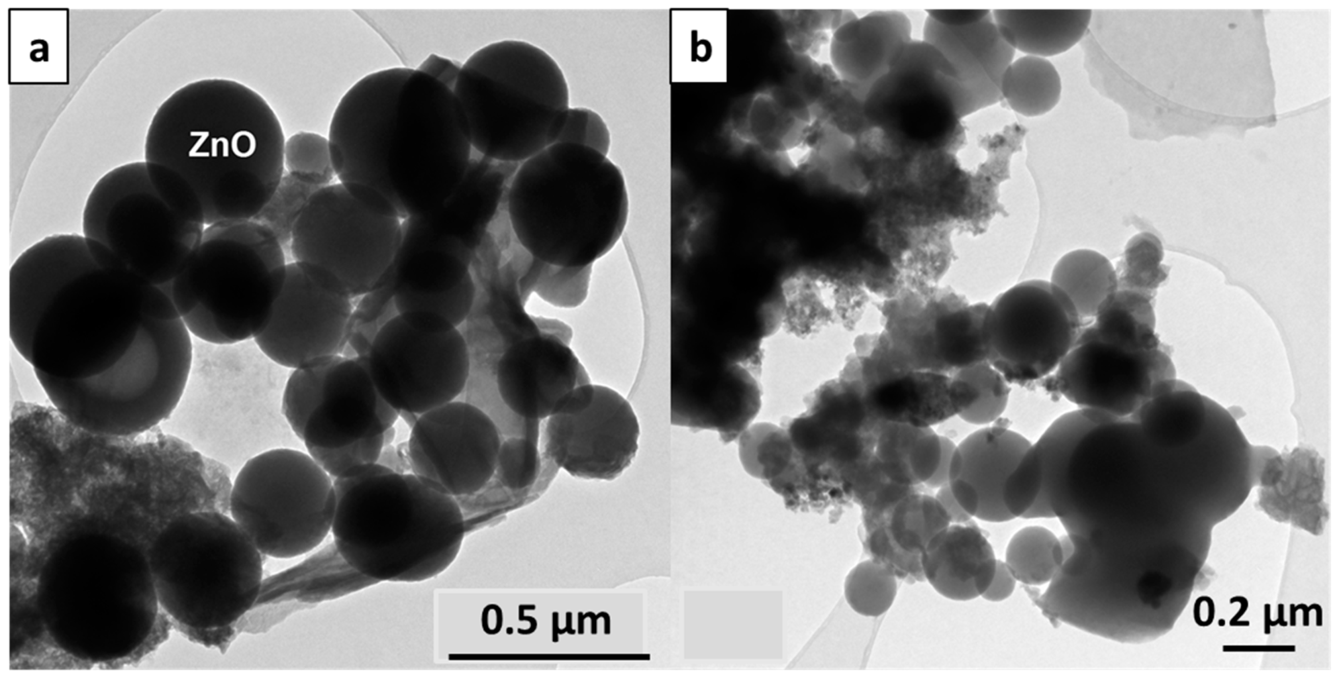 Catalysts 11 00516 g003