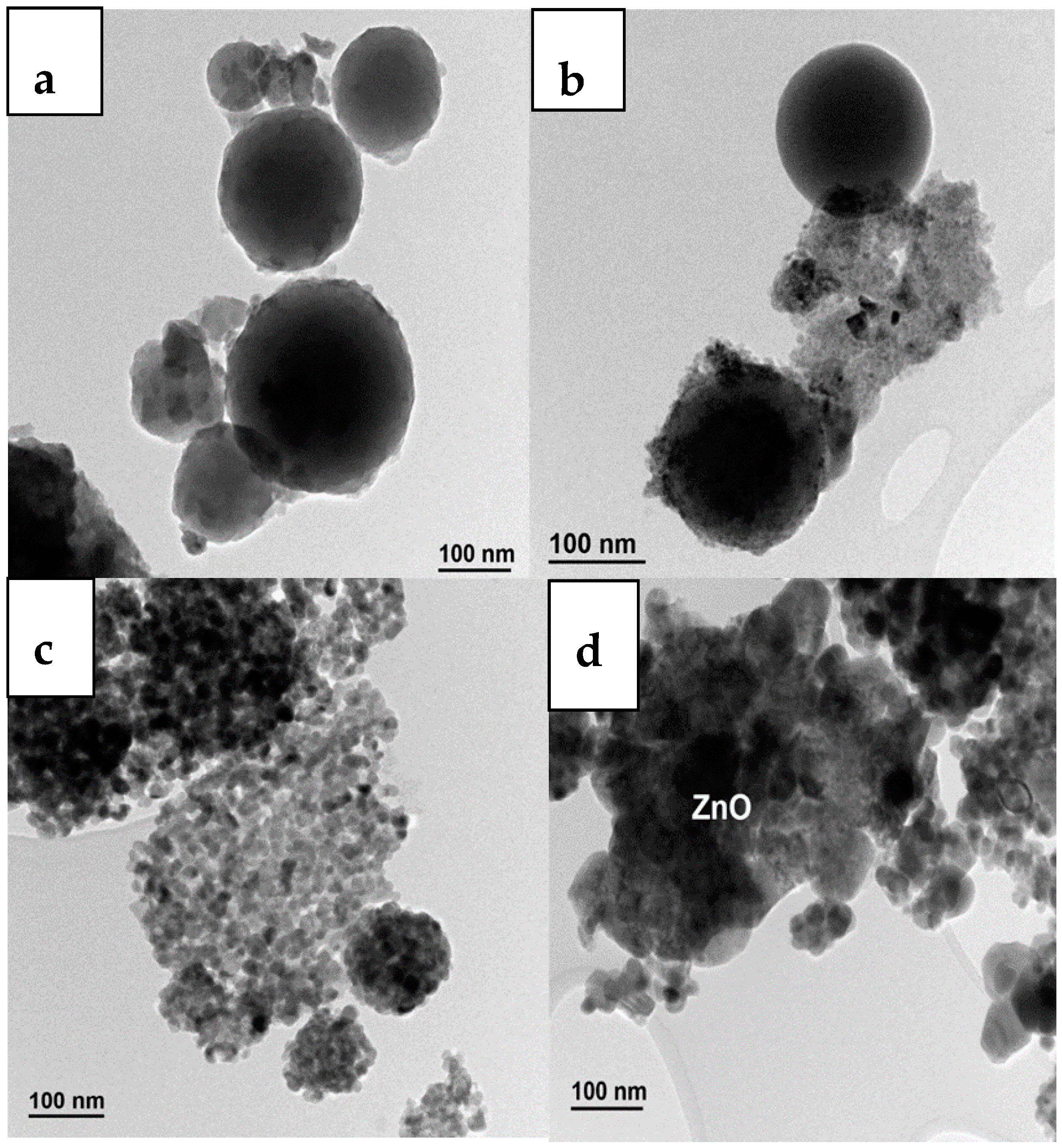 Catalysts 11 00516 g007