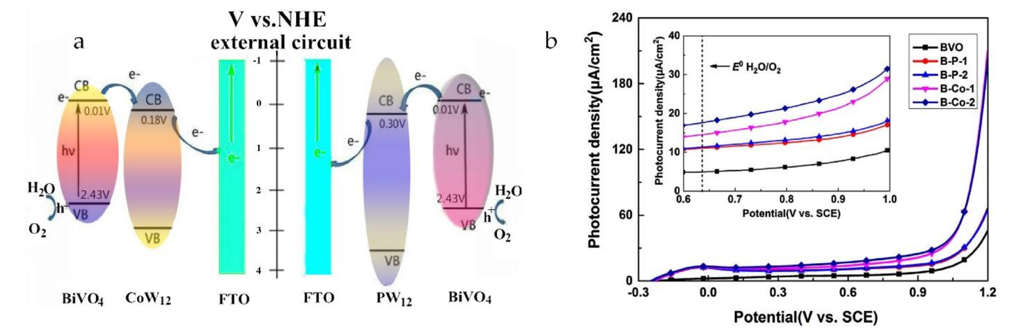 Catalysts 11 00524 g010