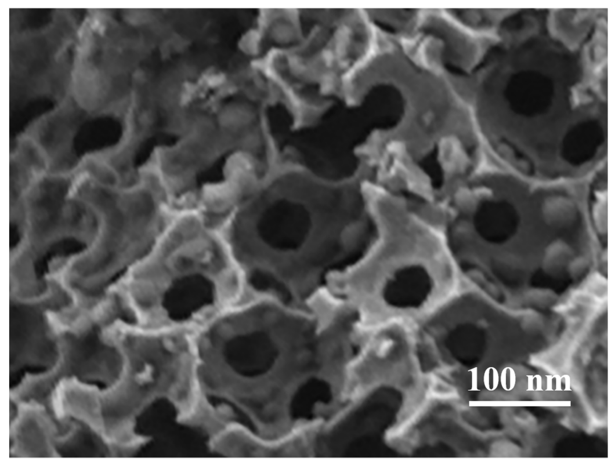 Catalysts 11 00533 g005