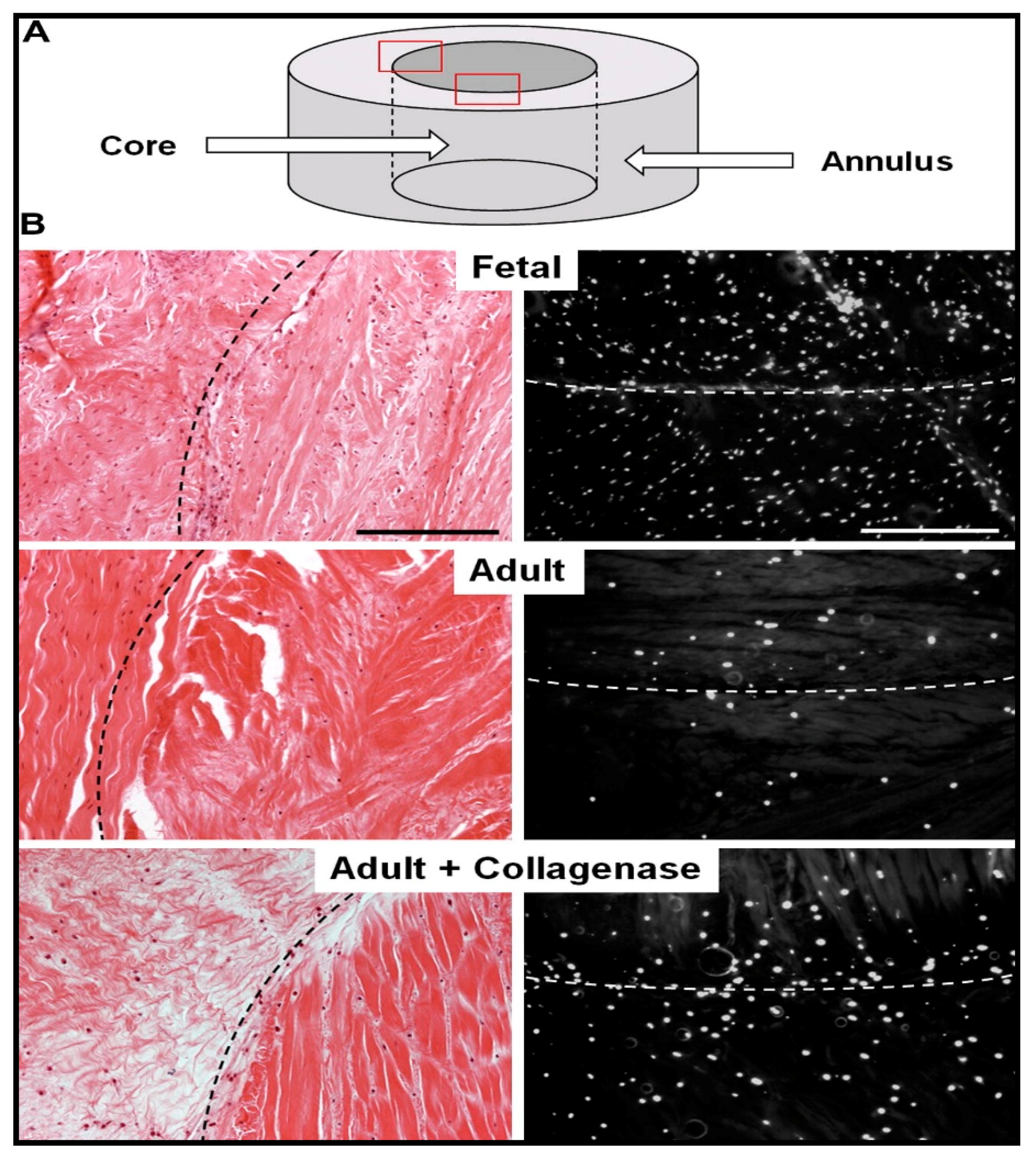 Catalysts 11 00536 g001