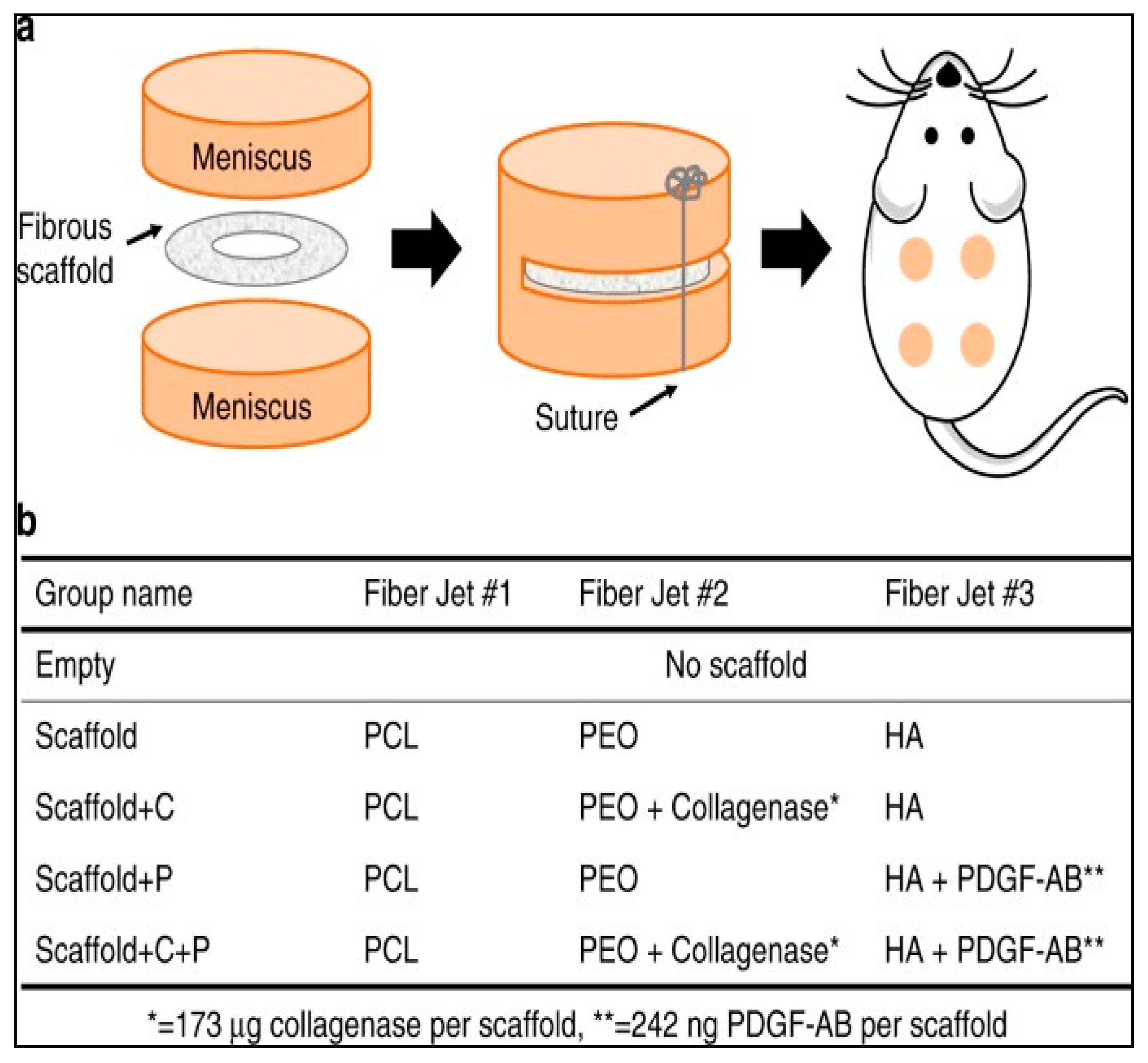 Catalysts 11 00536 g002