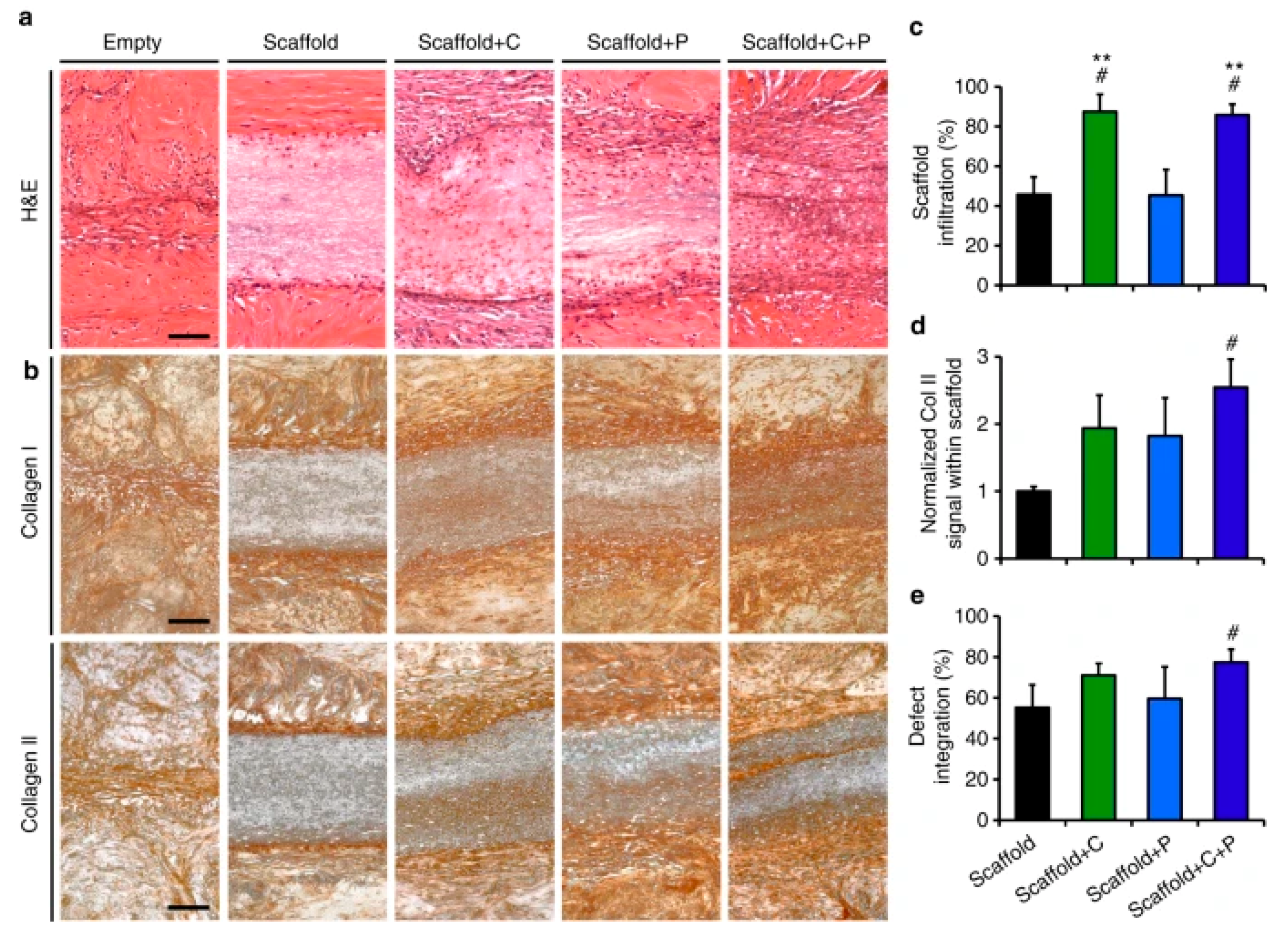Catalysts 11 00536 g003