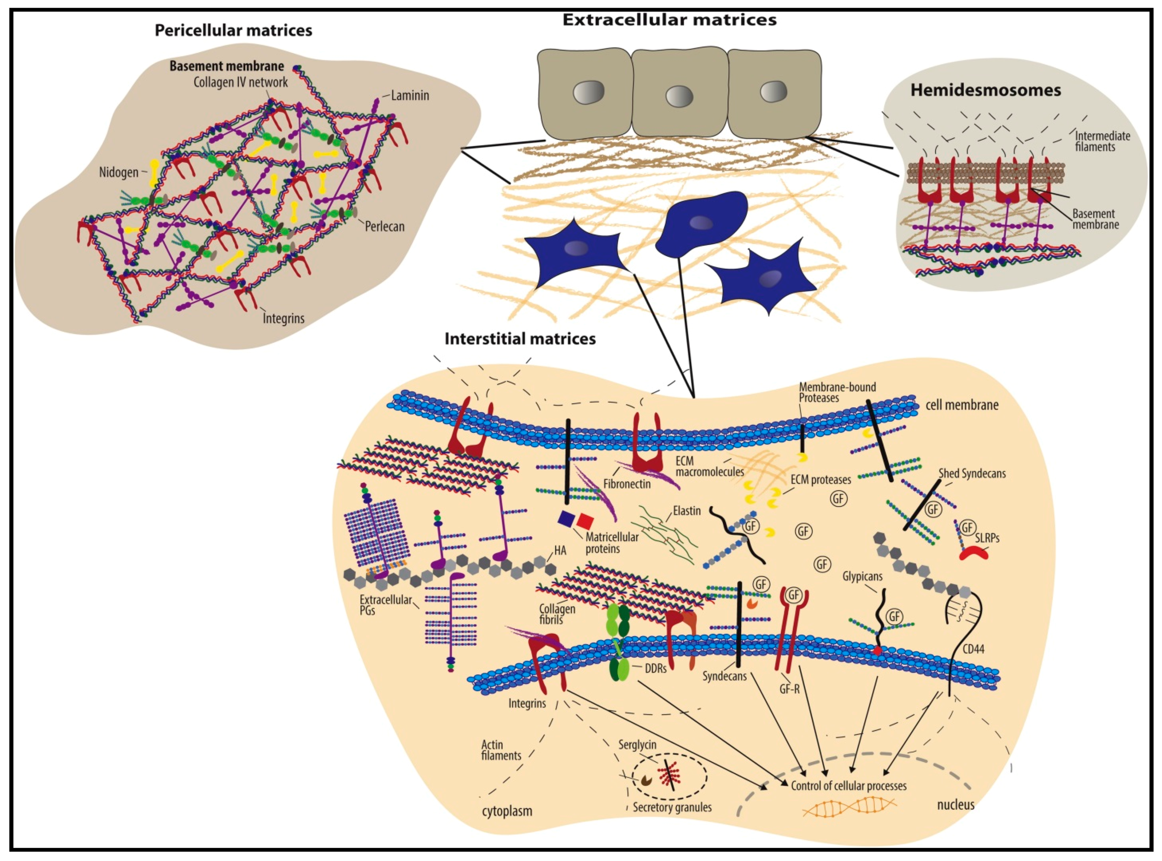 Catalysts 11 00536 g004
