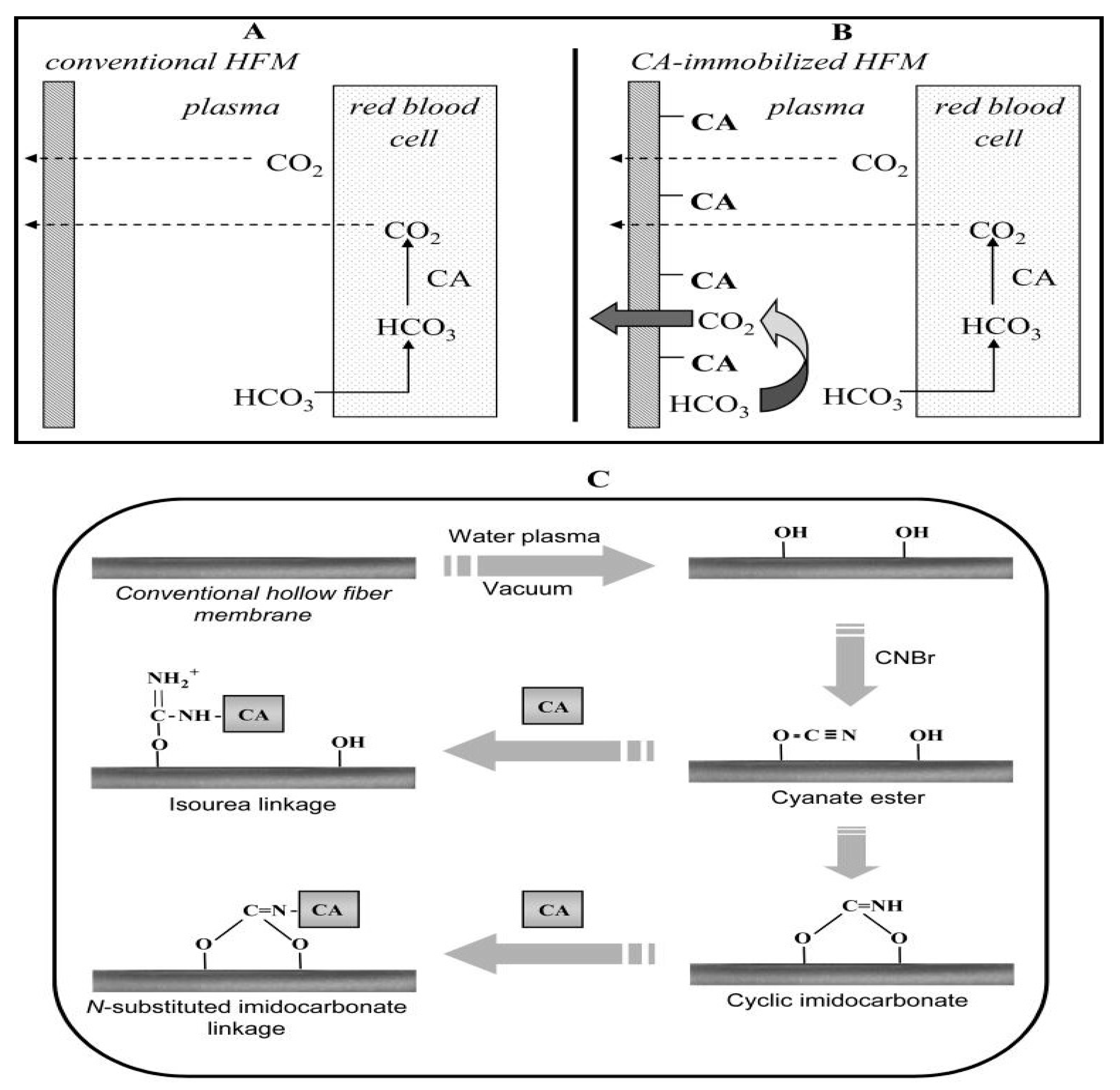 Catalysts 11 00536 g006