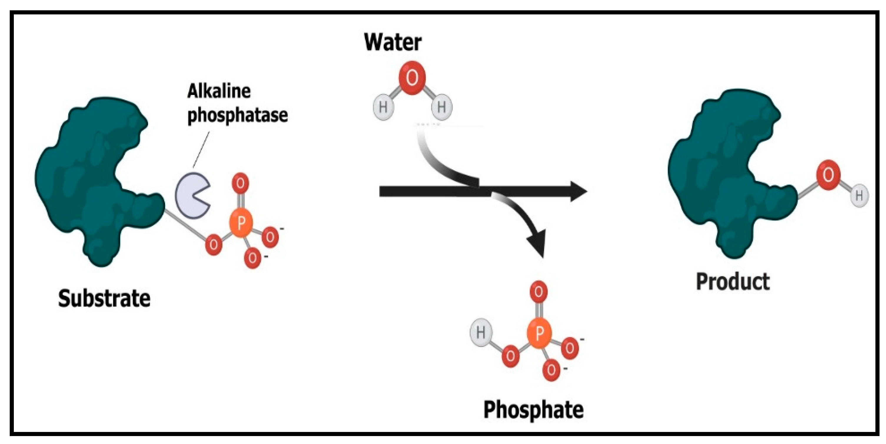 Catalysts 11 00536 g007