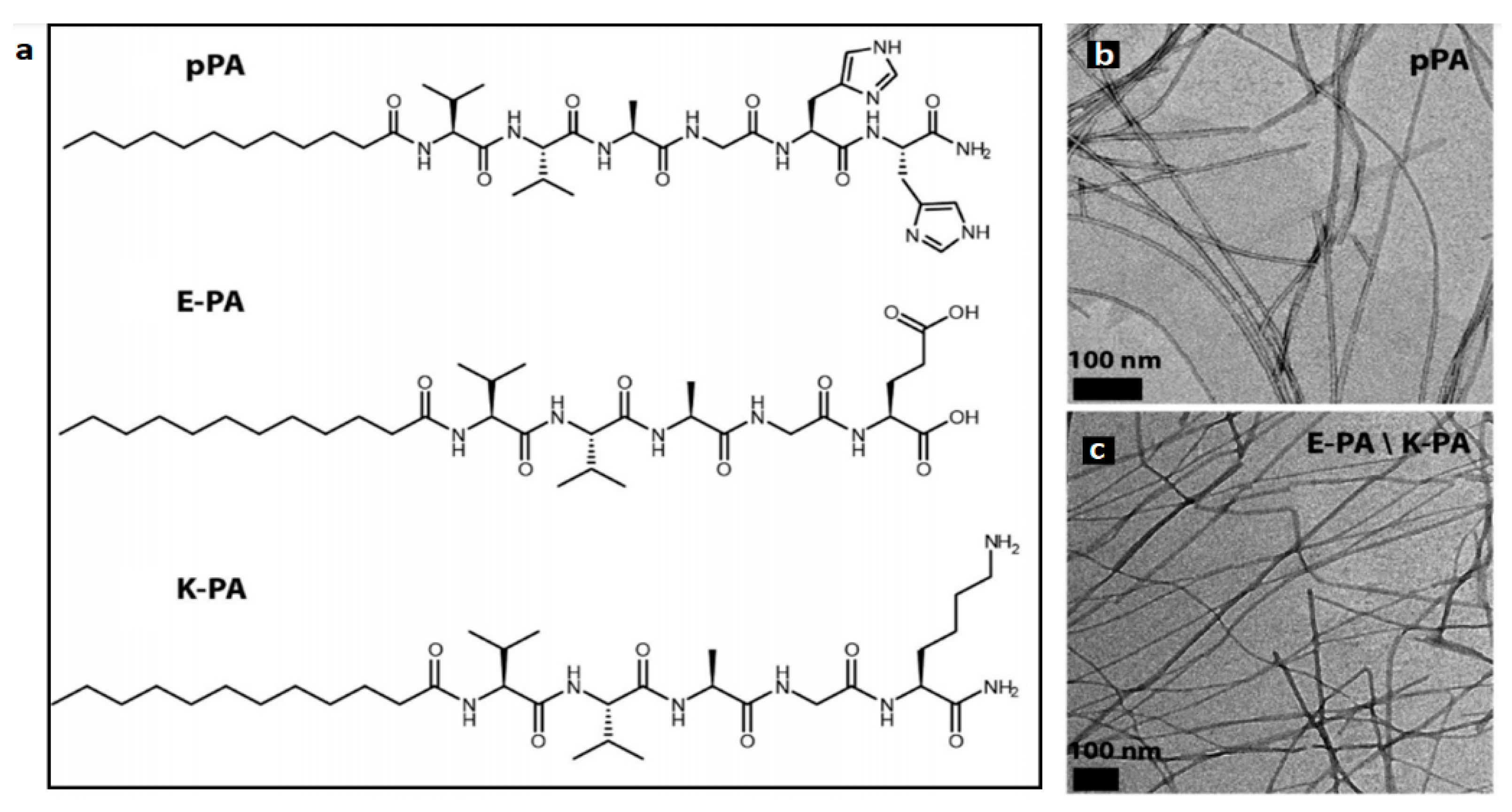 Catalysts 11 00536 g008
