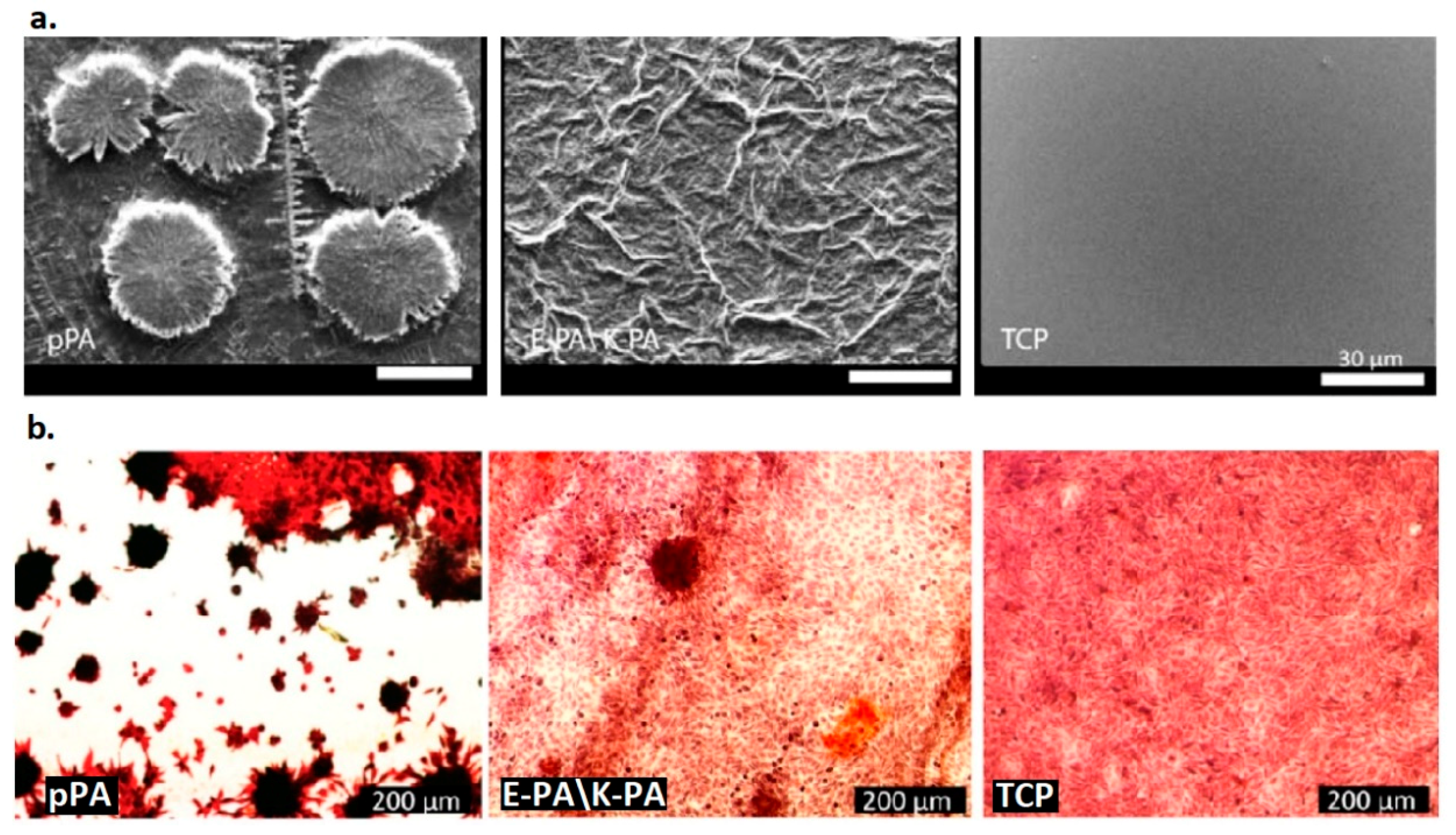 Catalysts 11 00536 g009