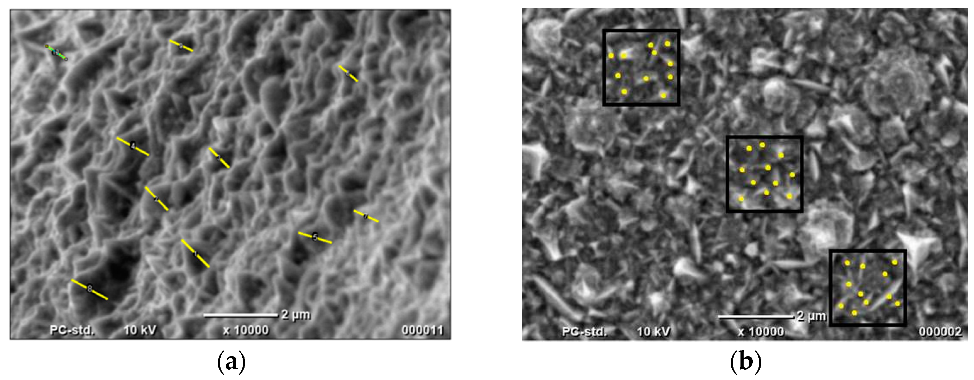Catalysts 11 00544 g003