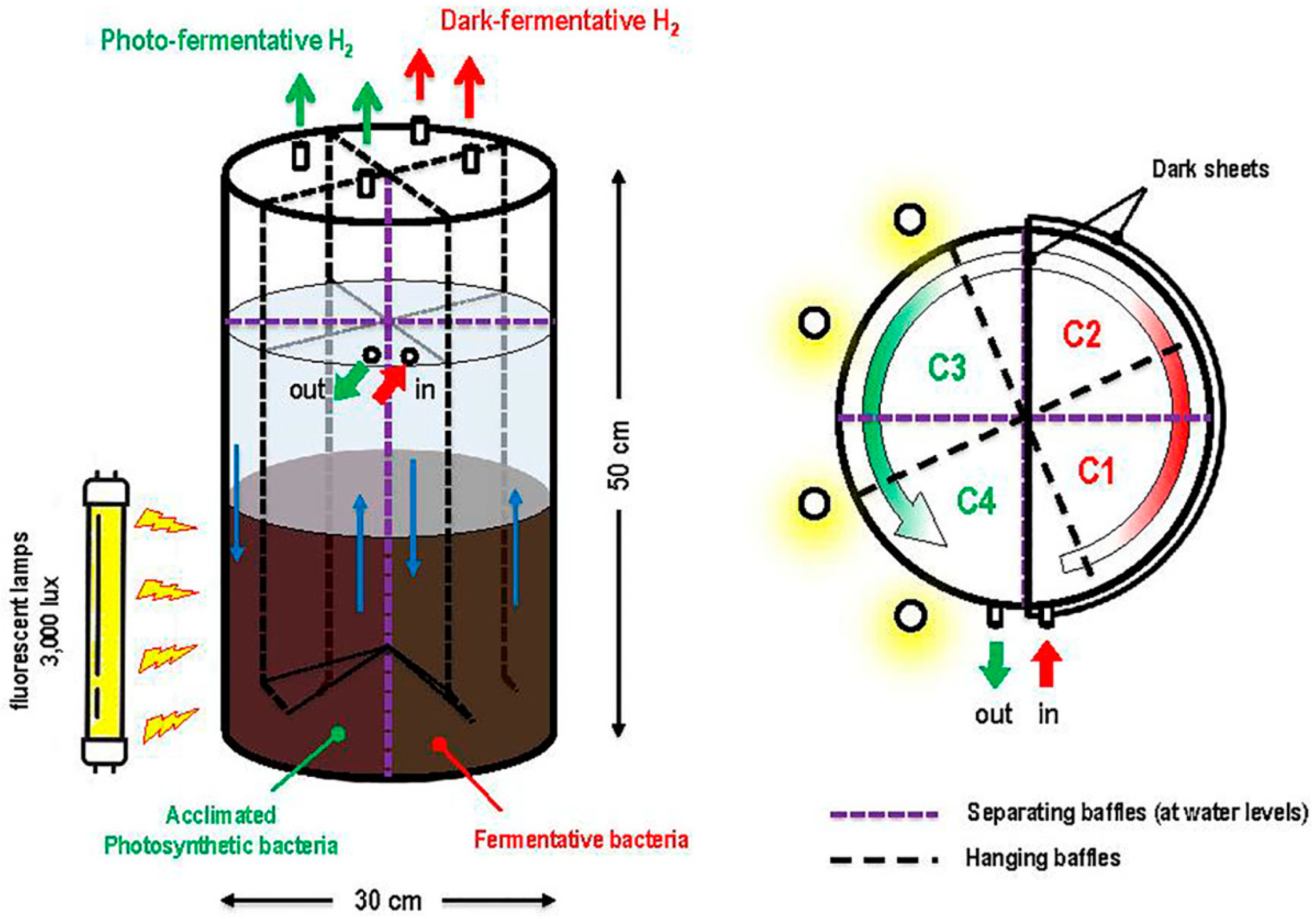 Catalysts 11 00547 g009 Catalysts 11 00547 g009