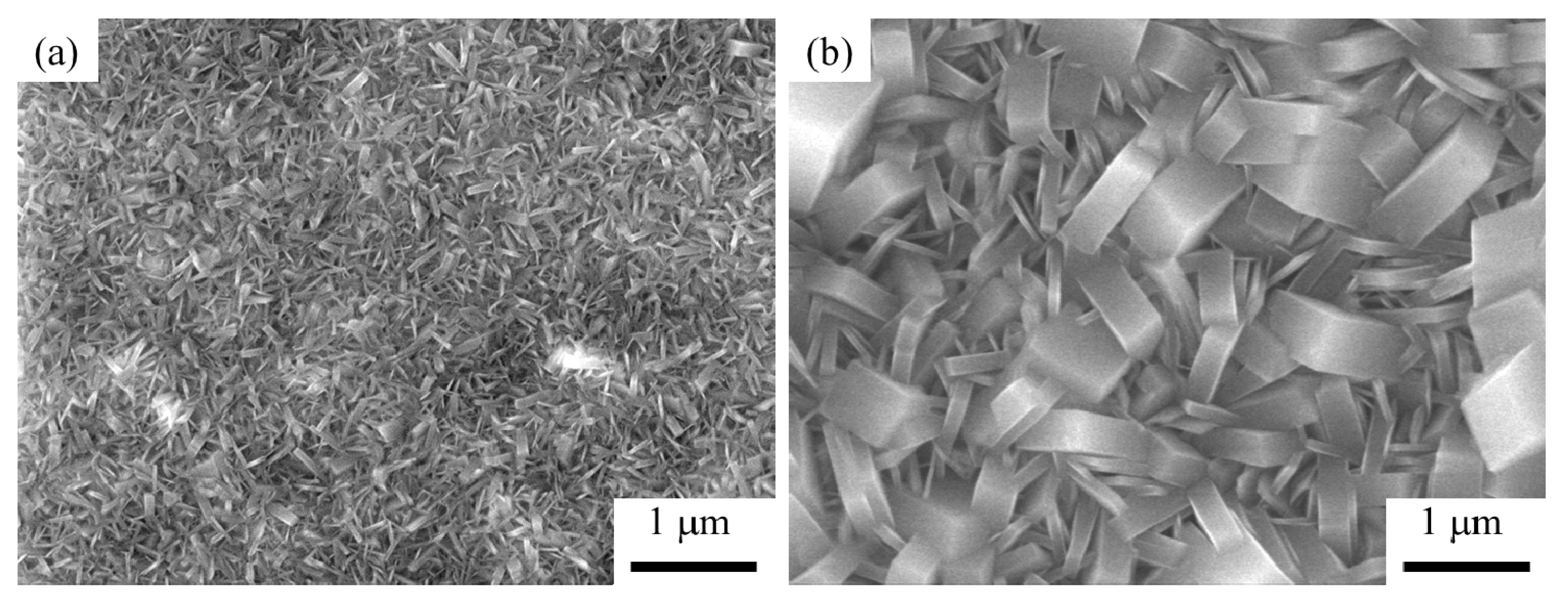 Catalysts 11 00548 g001