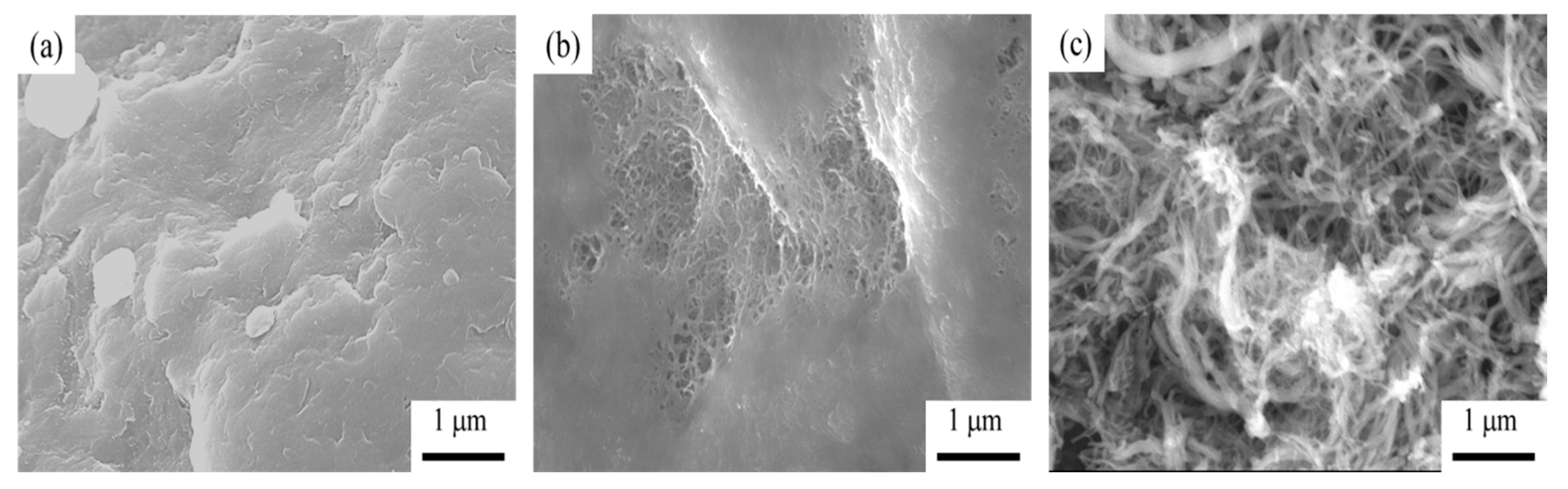 Catalysts 11 00548 g004a