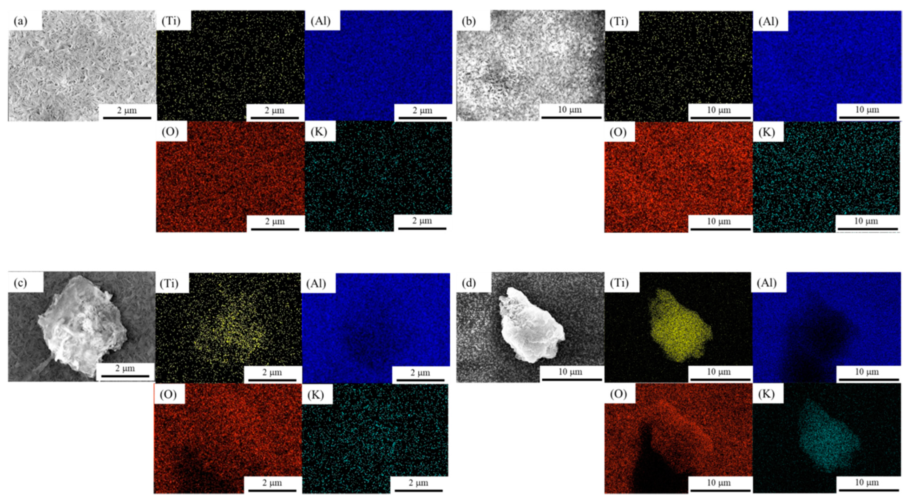 Catalysts 11 00548 g008