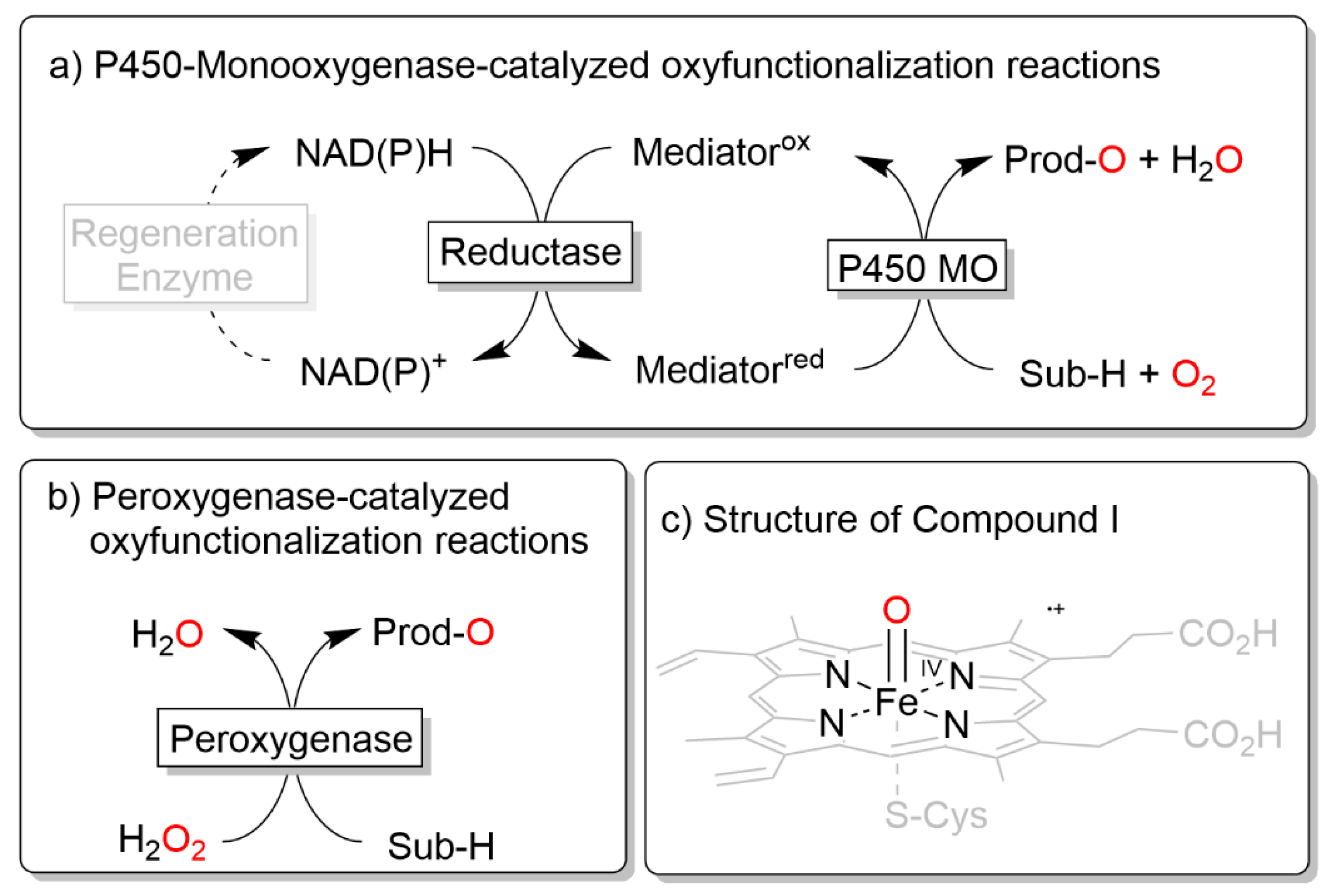 Catalysts 11 00560 sch001