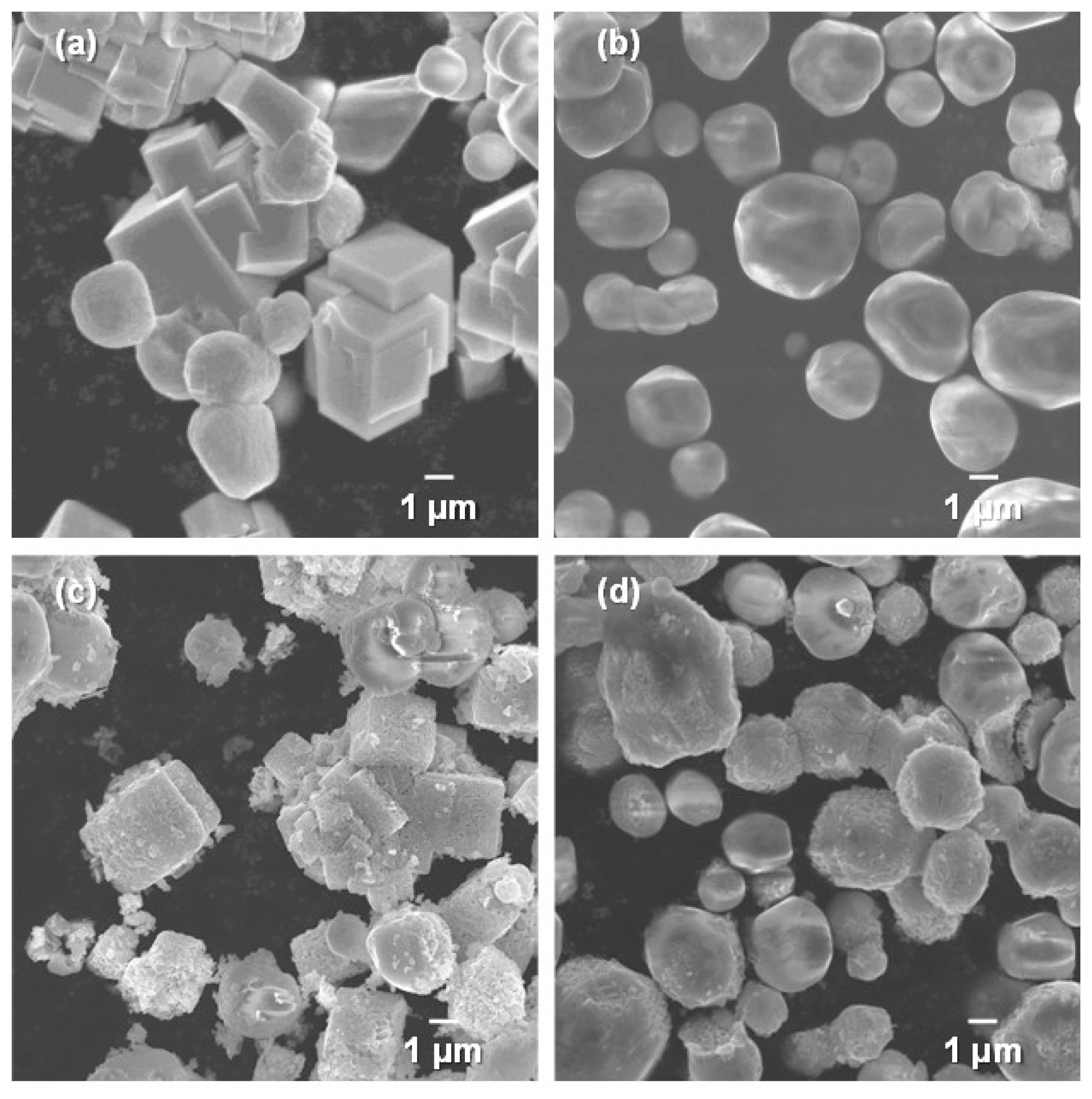 Catalysts 11 00566 g002