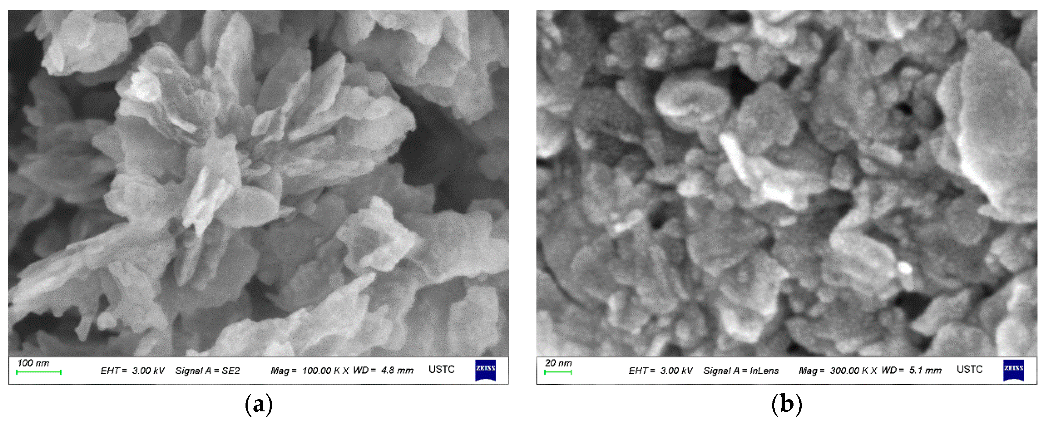 Catalysts 11 00572 g002a Catalysts 11 00572 g002a