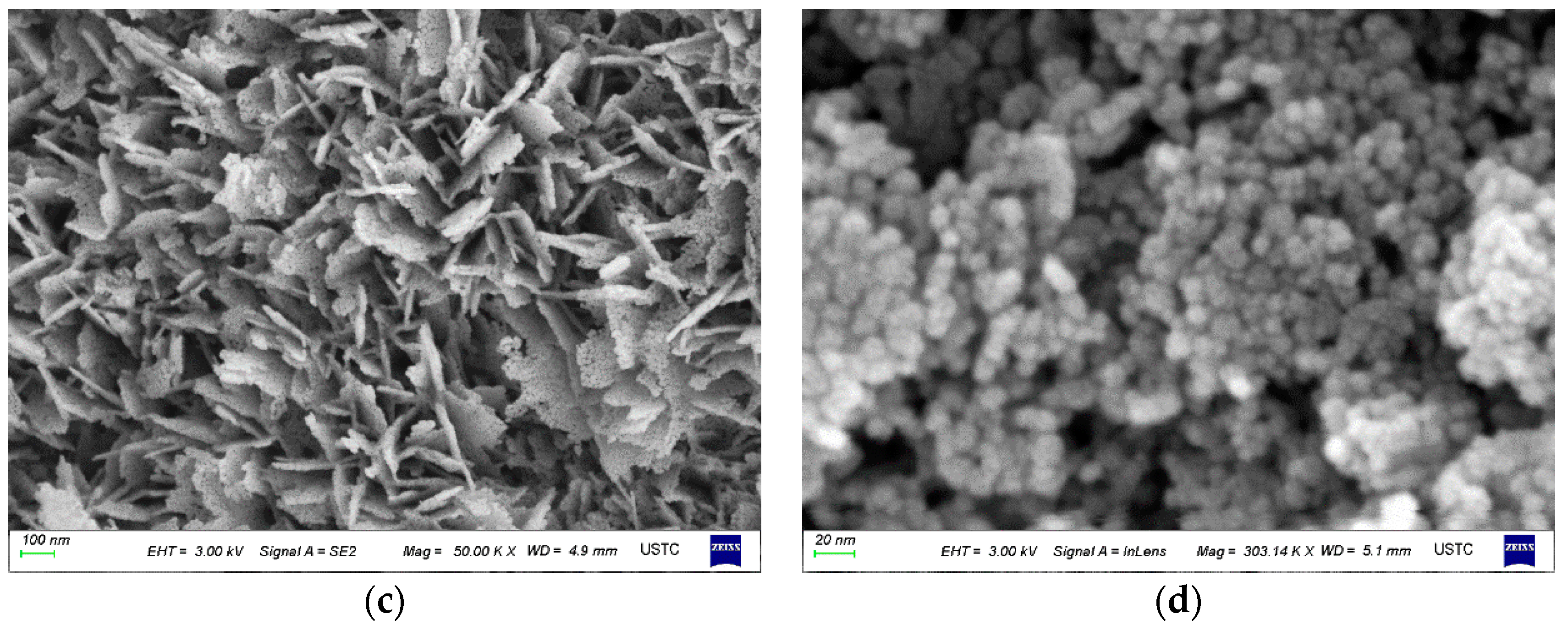 Catalysts 11 00572 g002b Catalysts 11 00572 g002b