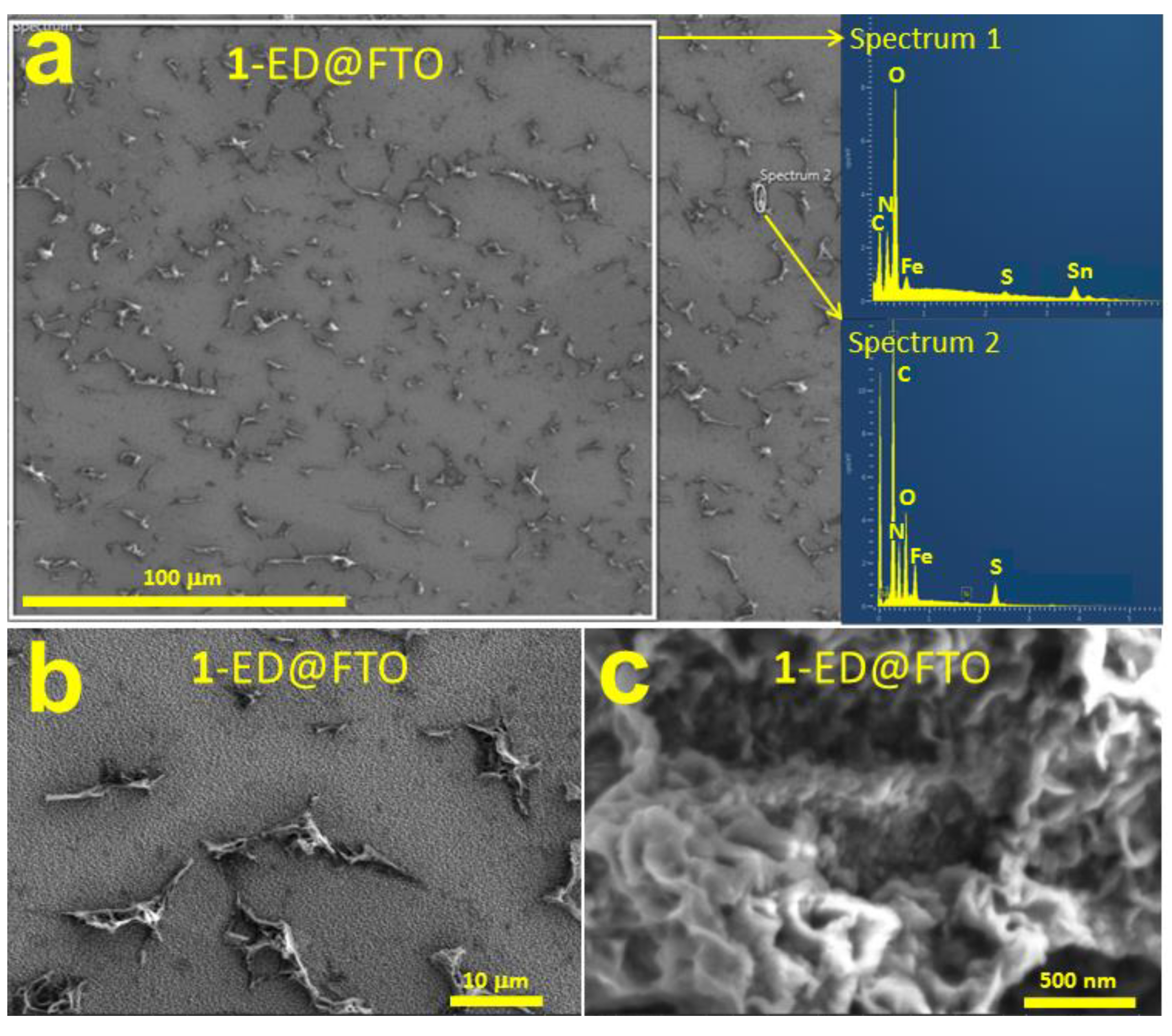 Catalysts 11 00577 g005