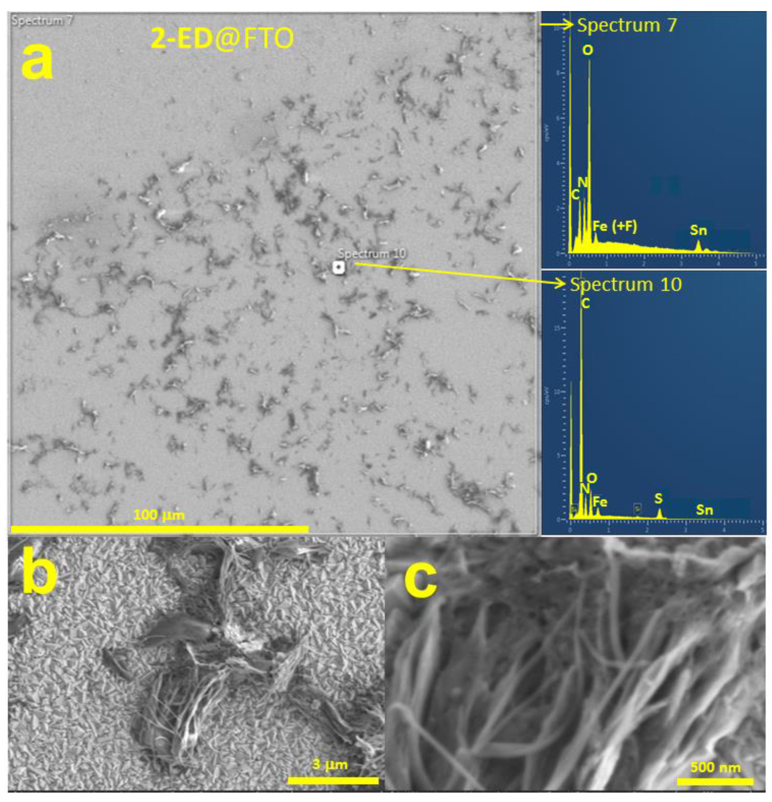 Catalysts 11 00577 g006