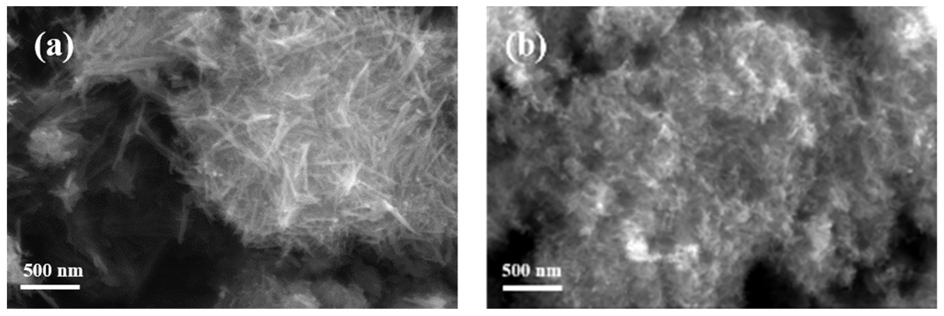 Catalysts 11 00581 g004