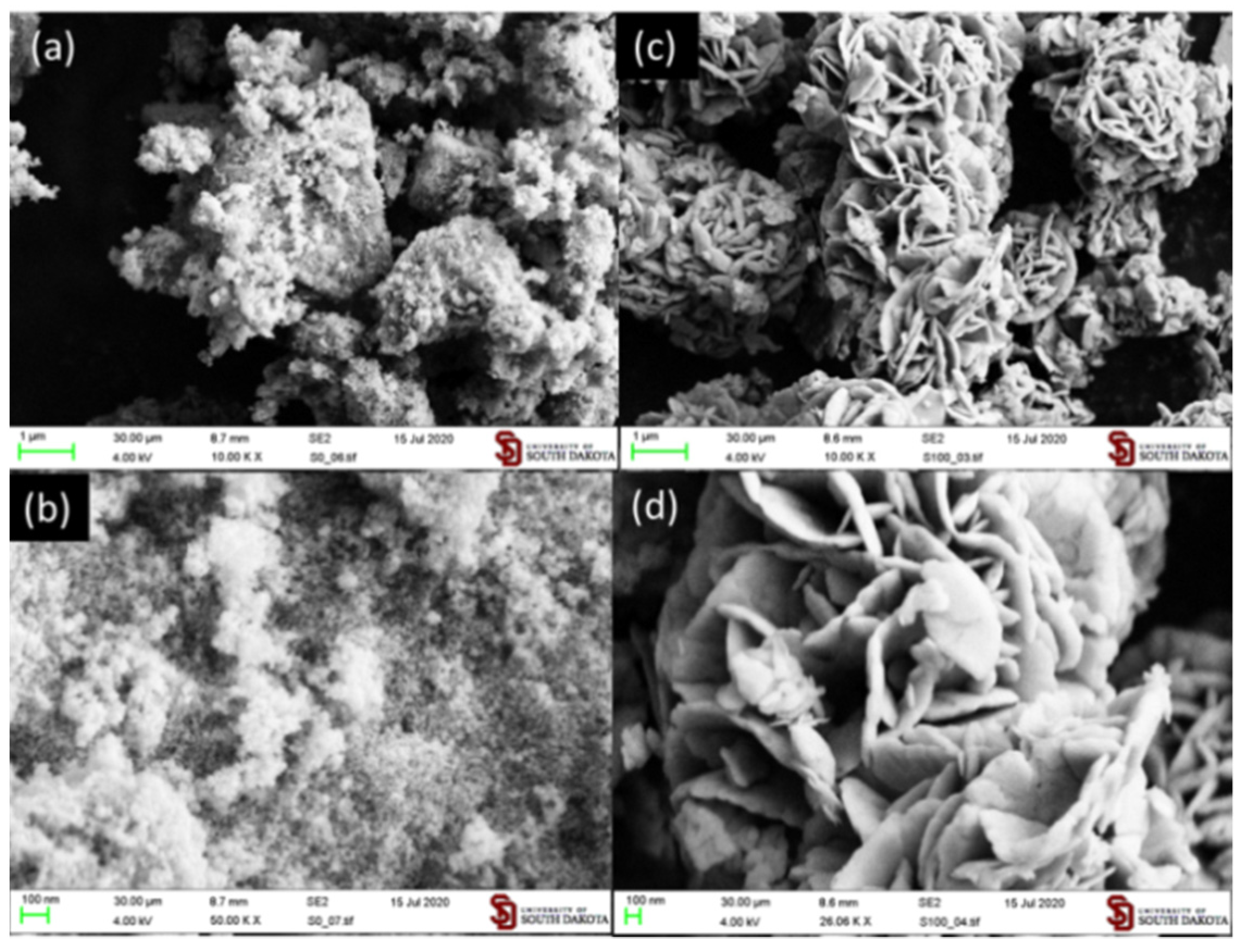 Catalysts 11 00589 g002