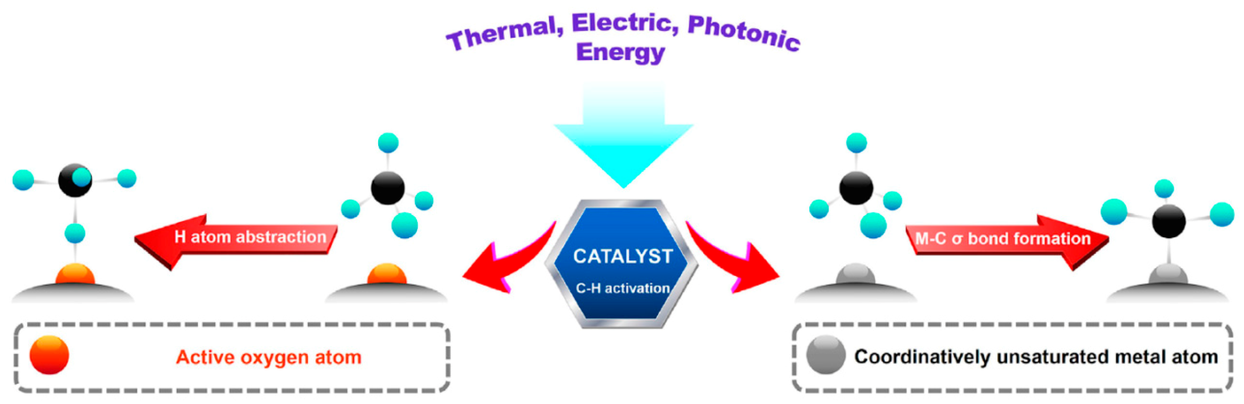 Catalysts 11 00590 g003 Catalysts 11 00590 g003