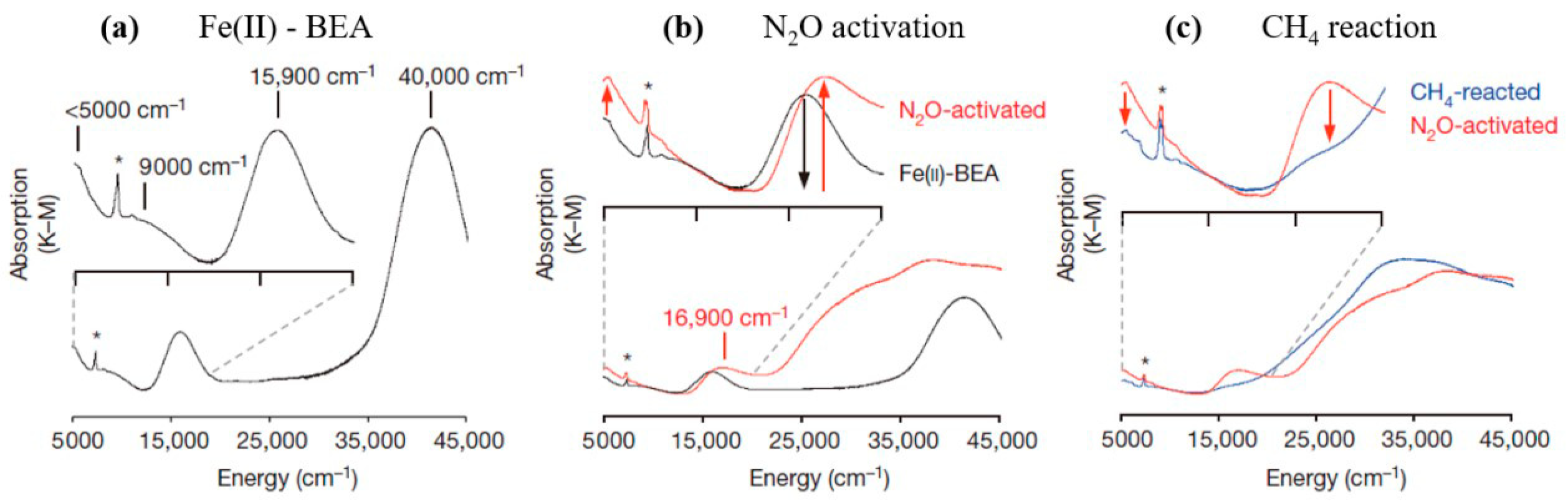 Catalysts 11 00590 g004 Catalysts 11 00590 g004