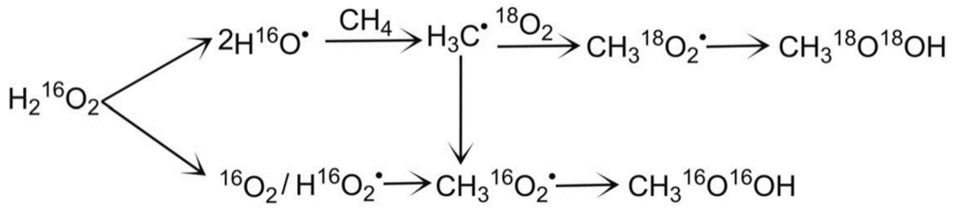 Catalysts 11 00590 g009 Catalysts 11 00590 g009