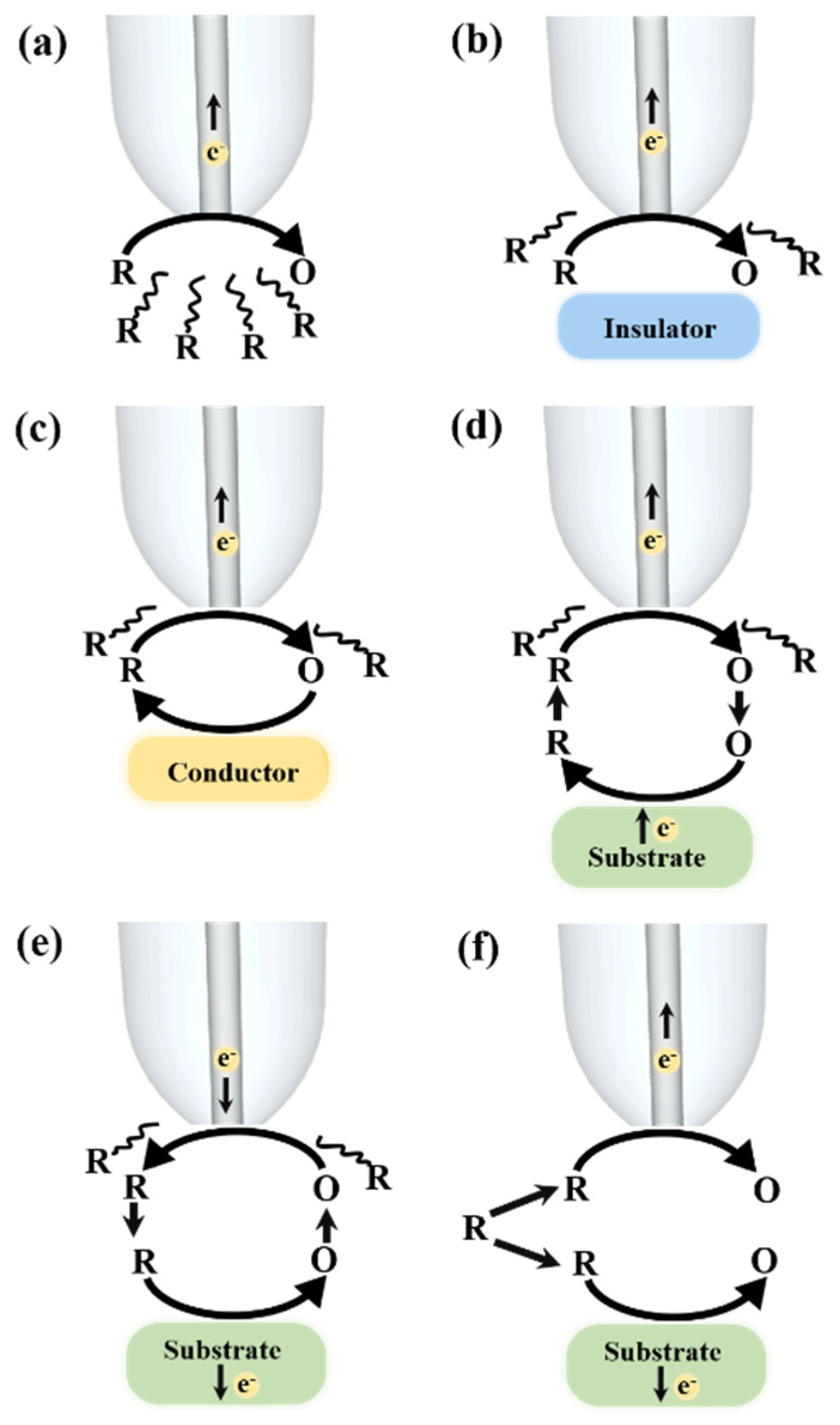 Catalysts 11 00594 g002