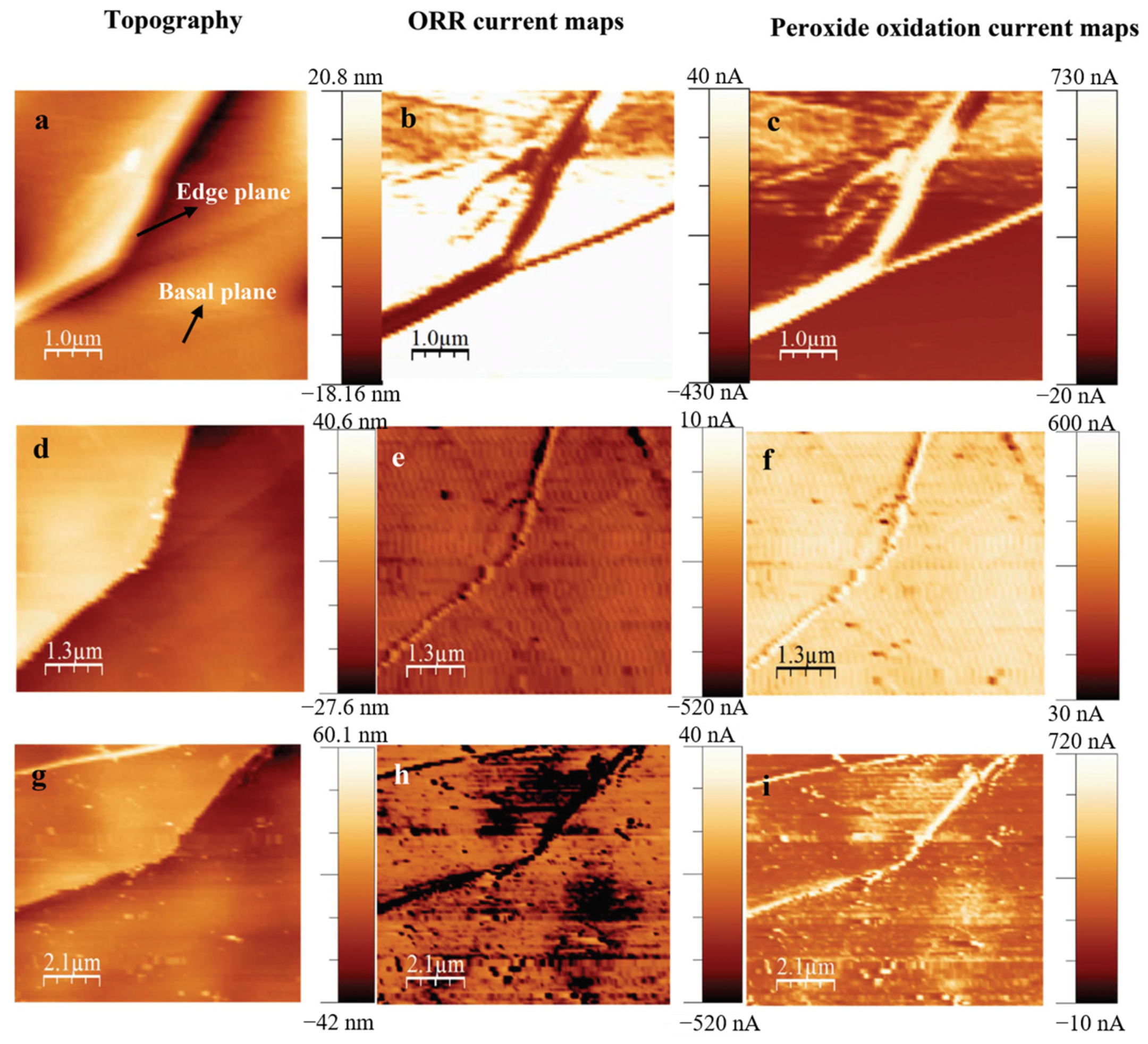 Catalysts 11 00594 g003