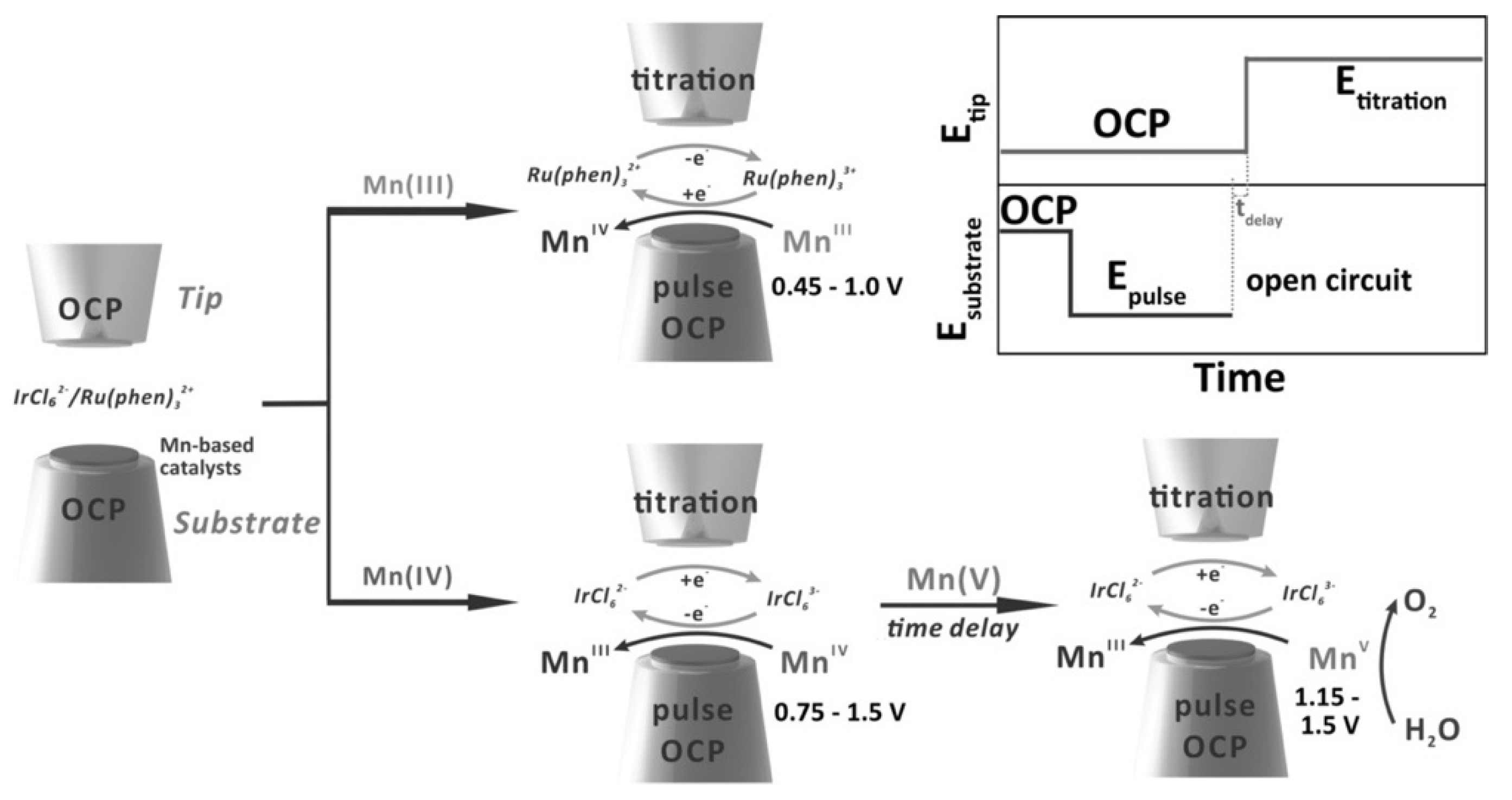 Catalysts 11 00594 g005