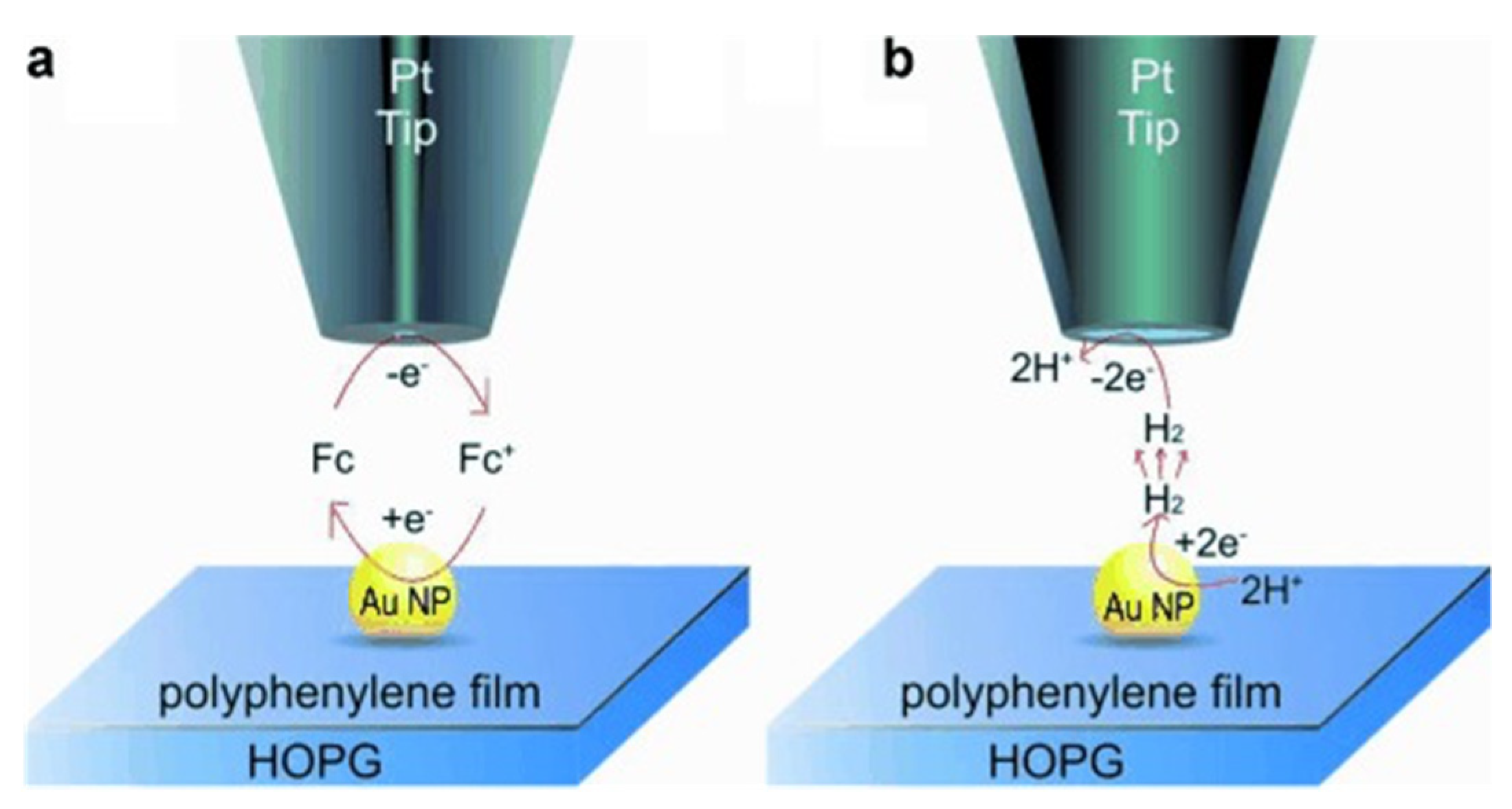 Catalysts 11 00594 g006