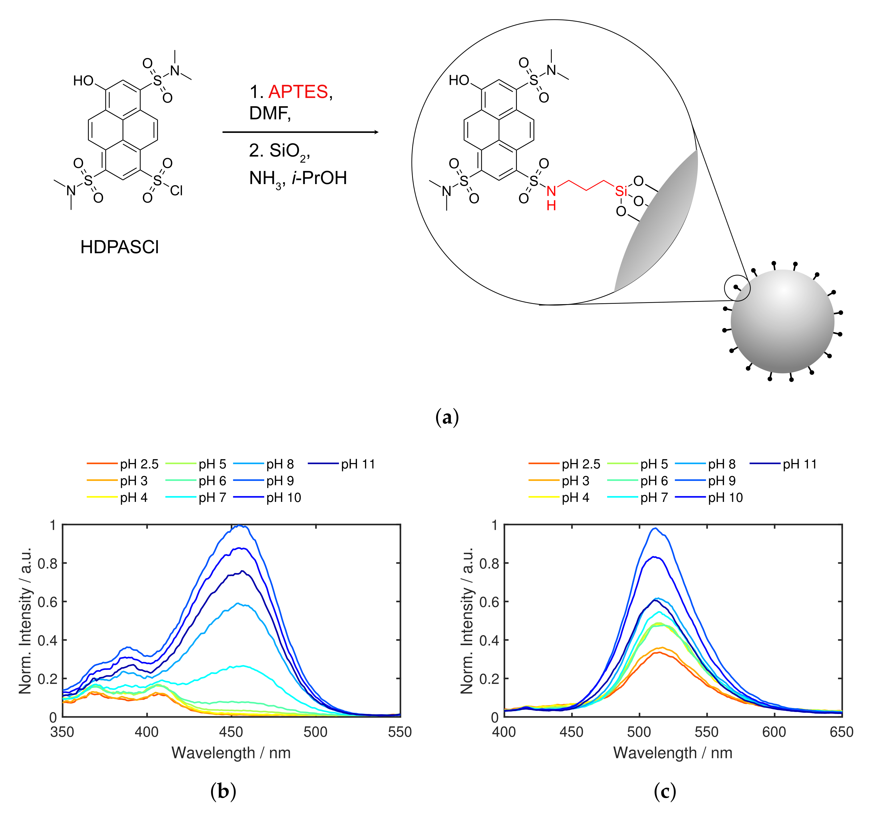 Catalysts 11 00599 g003