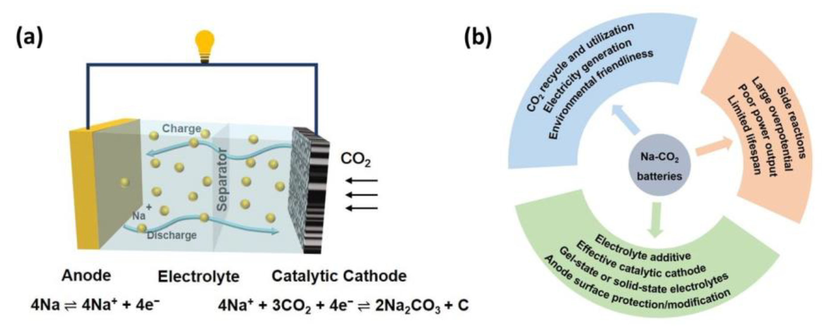 Catalysts 11 00603 g001