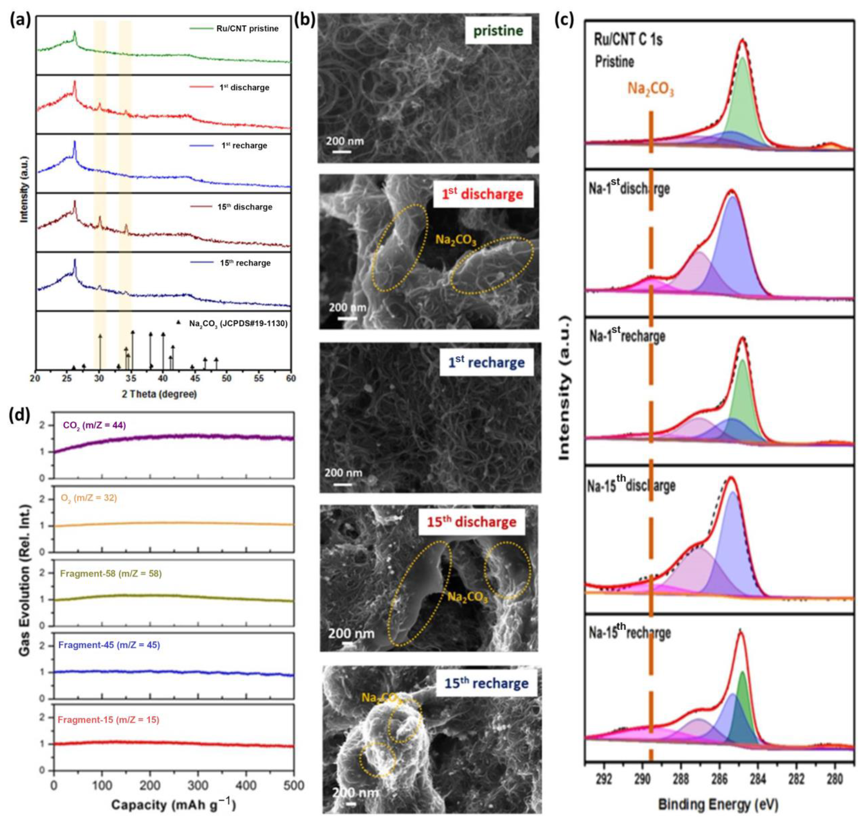 Catalysts 11 00603 g005