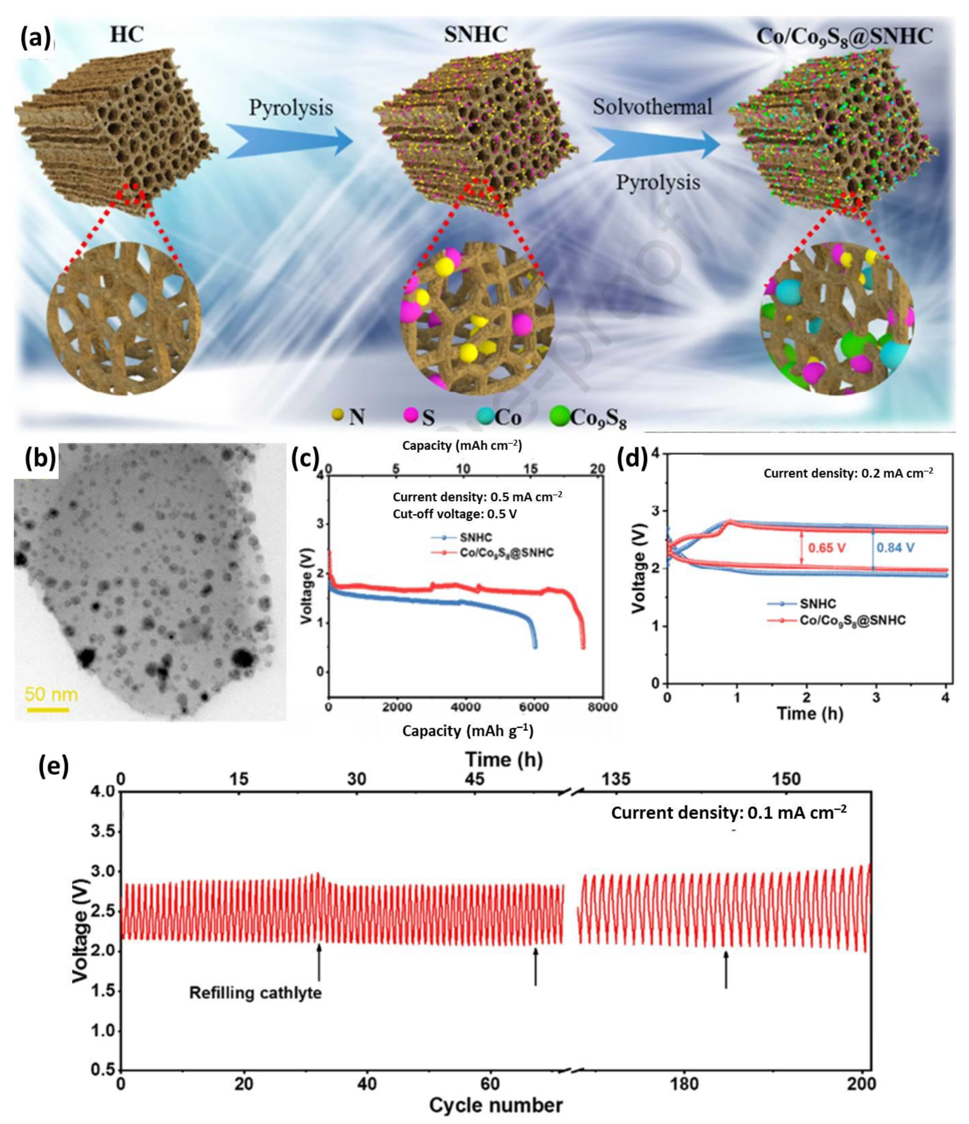Catalysts 11 00603 g007