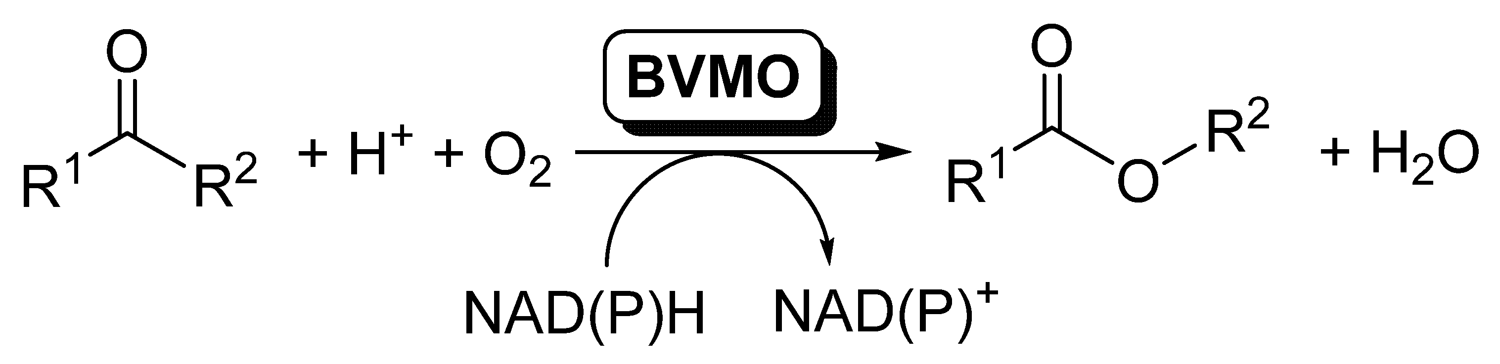 Catalysts 11 00605 sch001 Catalysts 11 00605 sch001