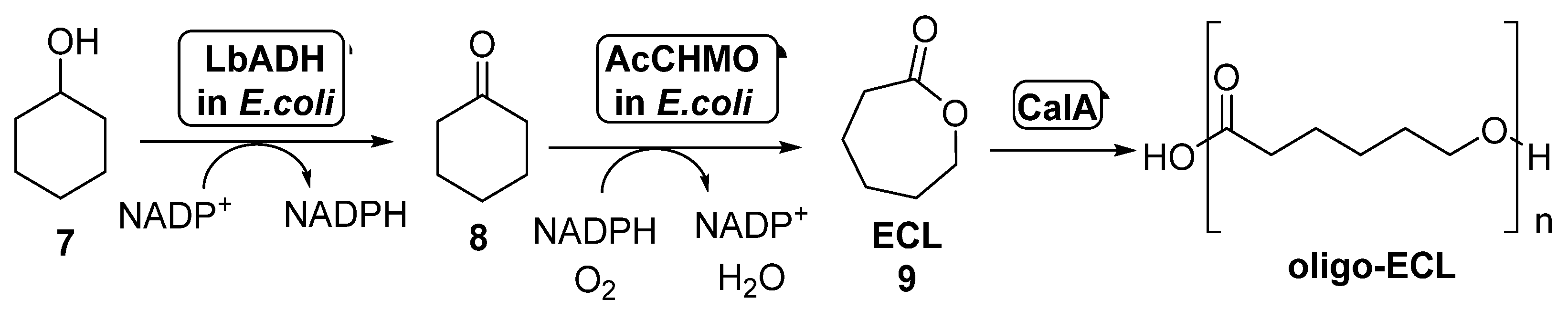 Catalysts 11 00605 sch004 Catalysts 11 00605 sch004