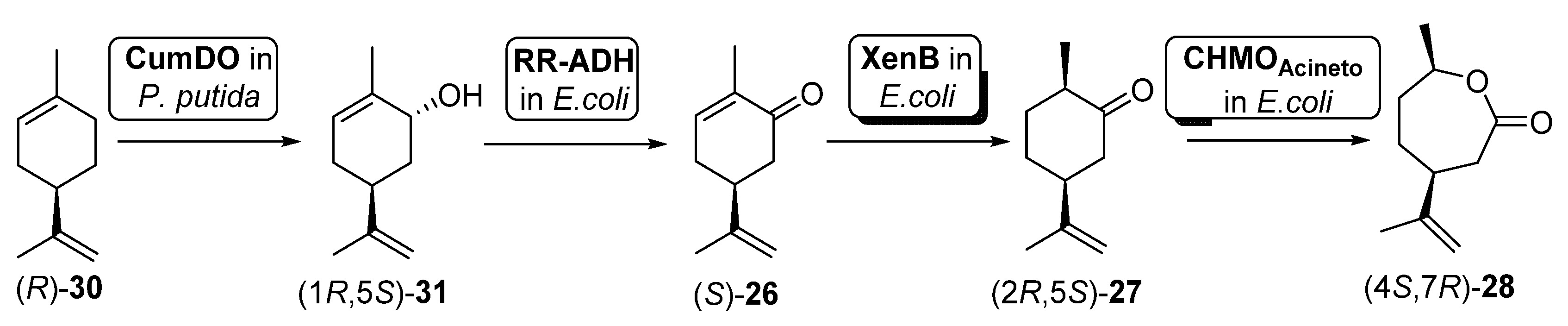 Catalysts 11 00605 sch012 Catalysts 11 00605 sch012