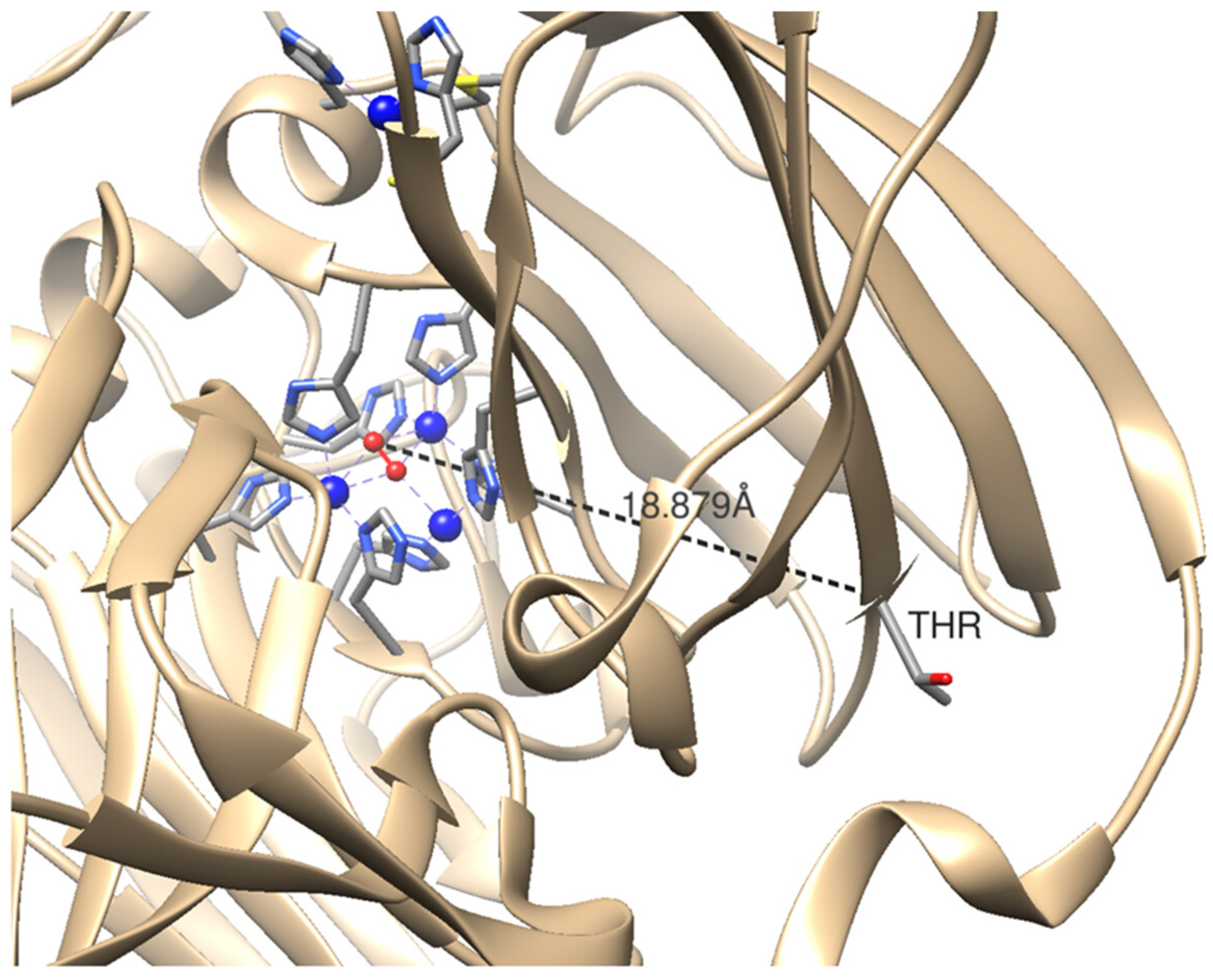 Catalysts 11 00606 g002 Catalysts 11 00606 g002